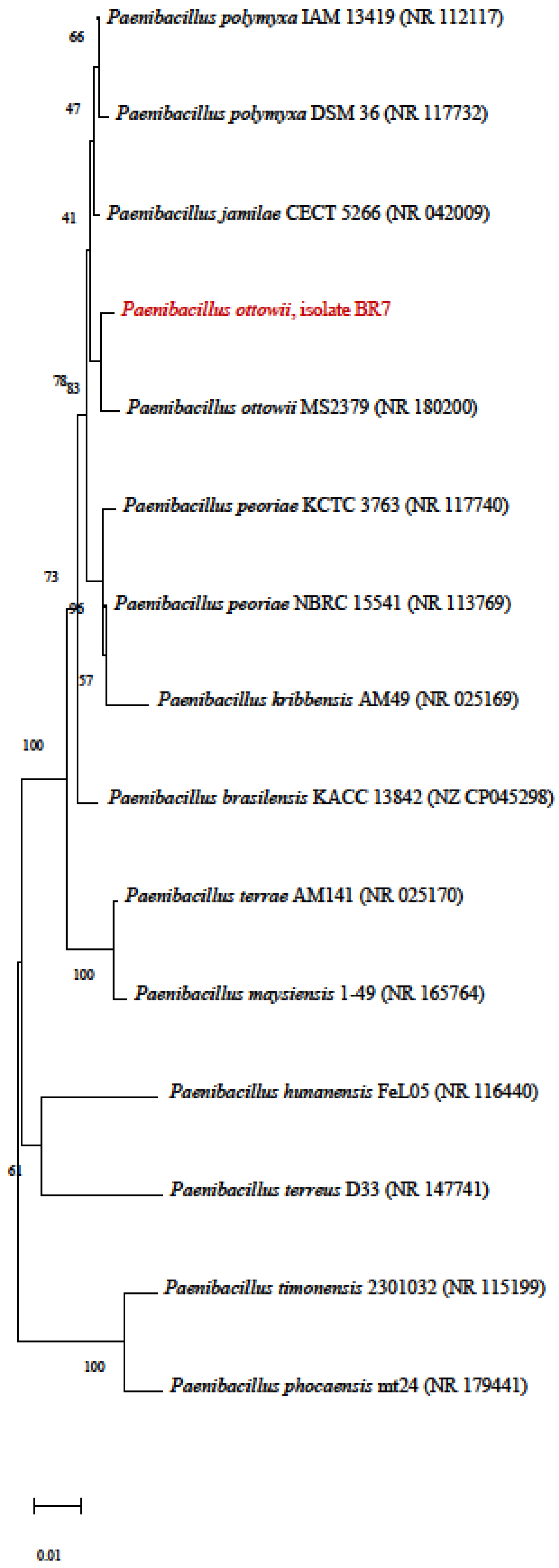 Processes 12 01722 g003