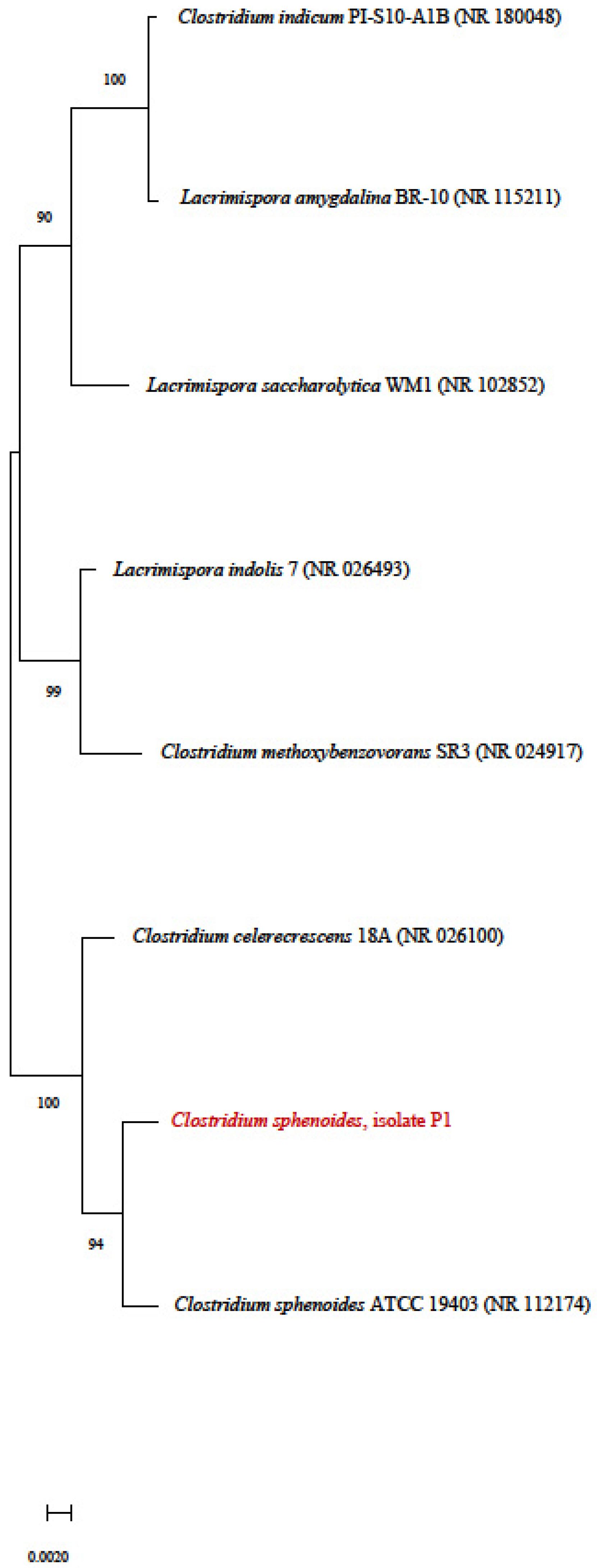 Processes 12 01722 g005