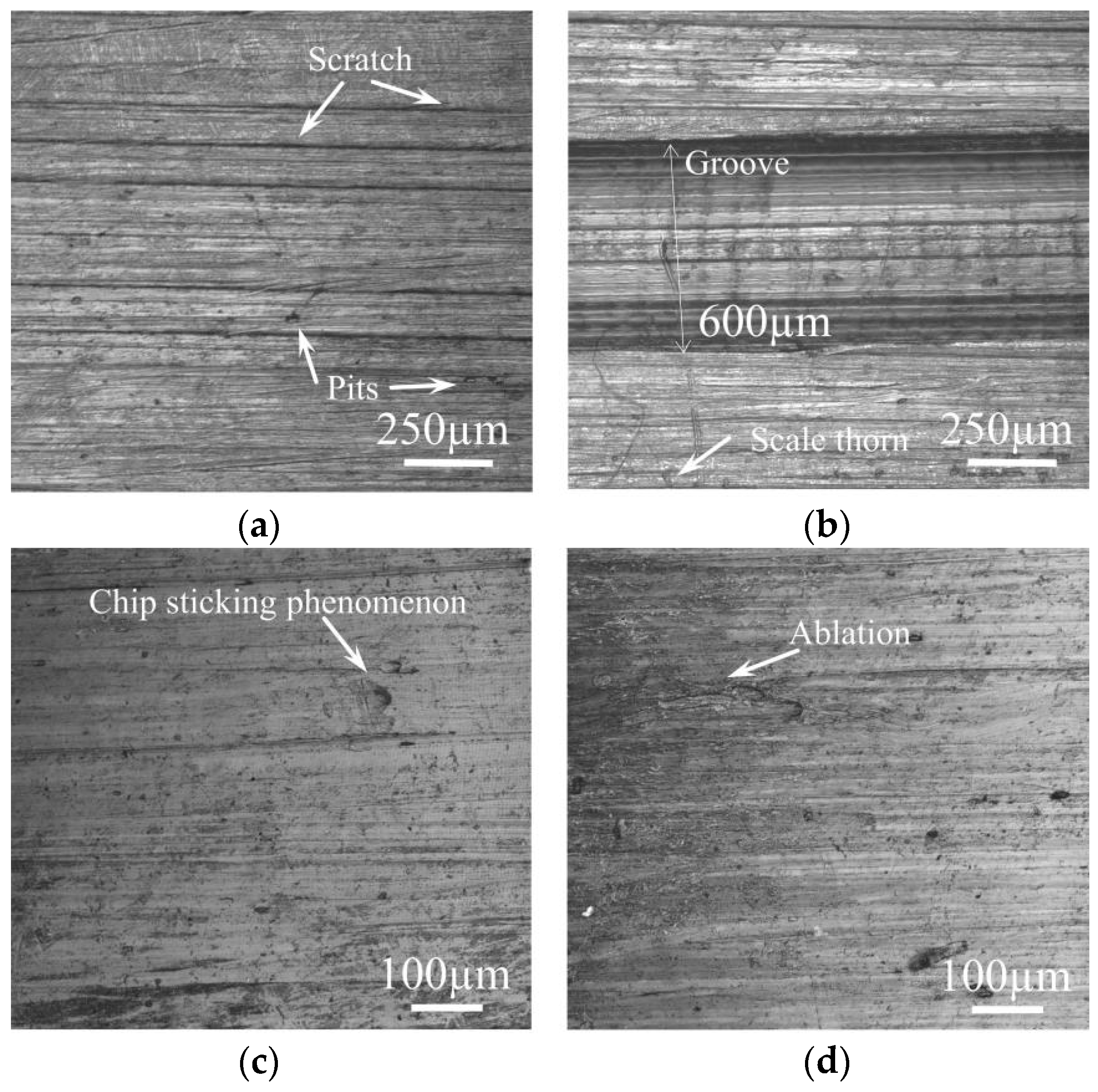 Processes 12 01747 g011