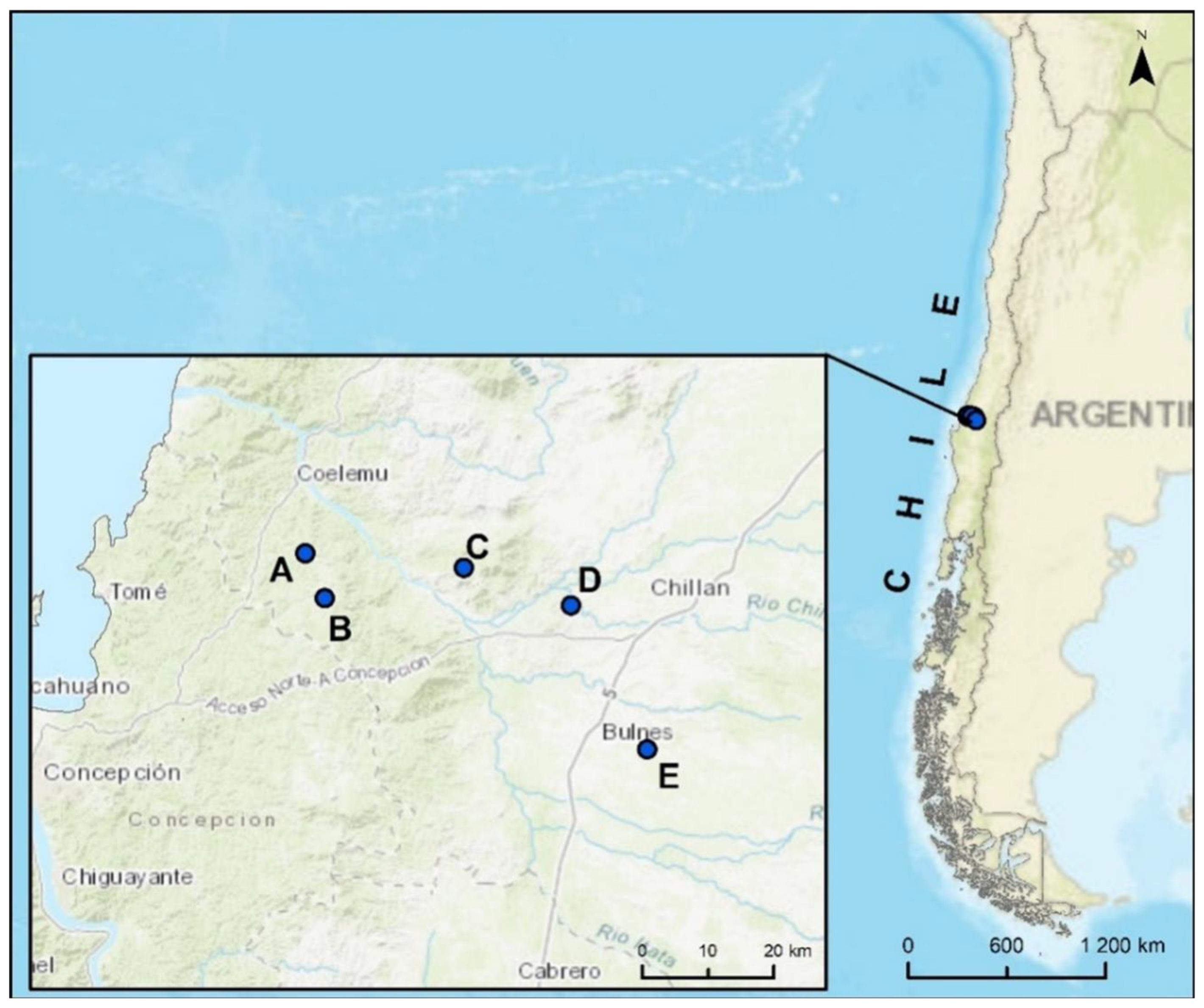 Processes 12 01760 g001