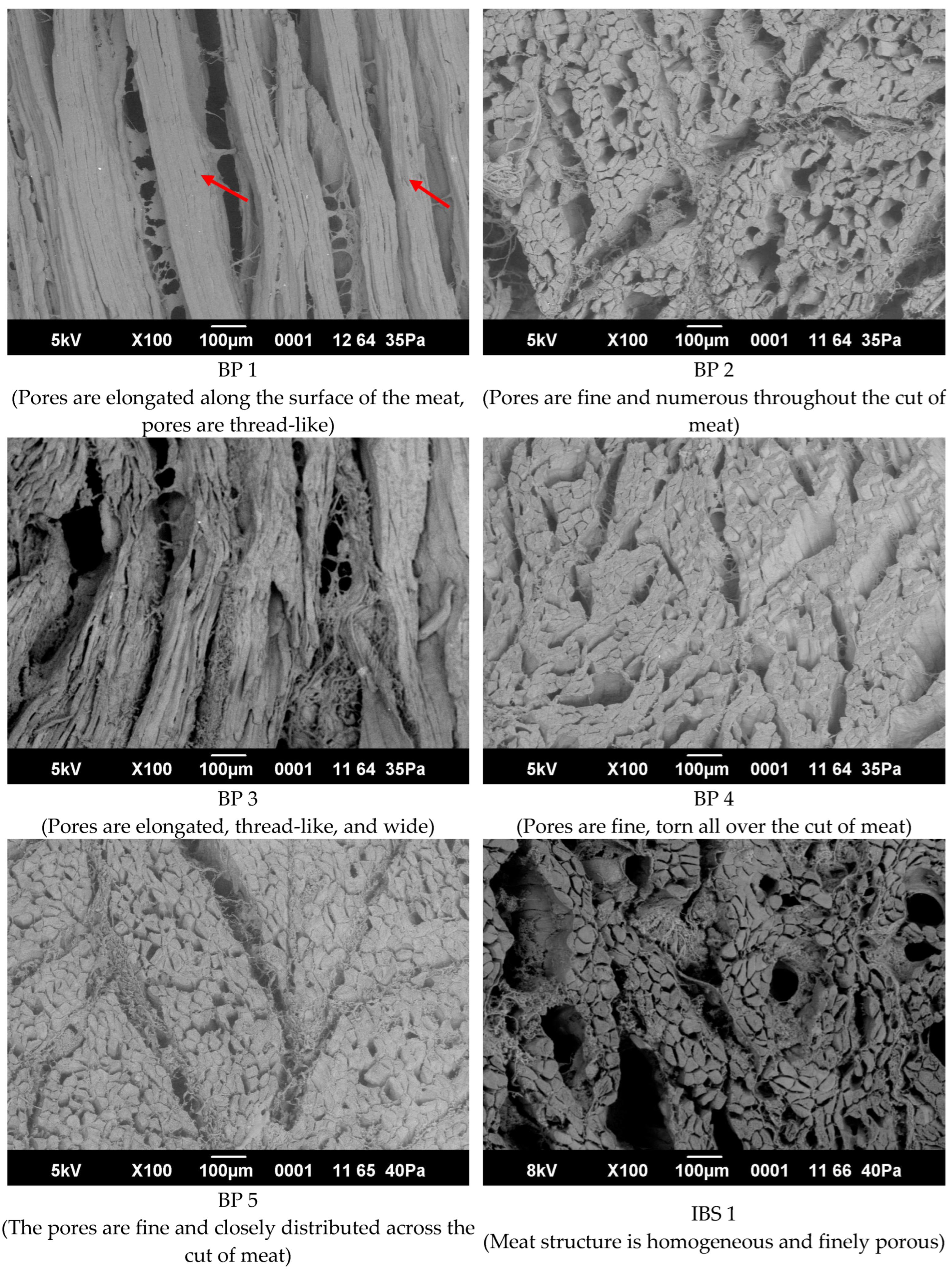 Processes 12 01766 g005b