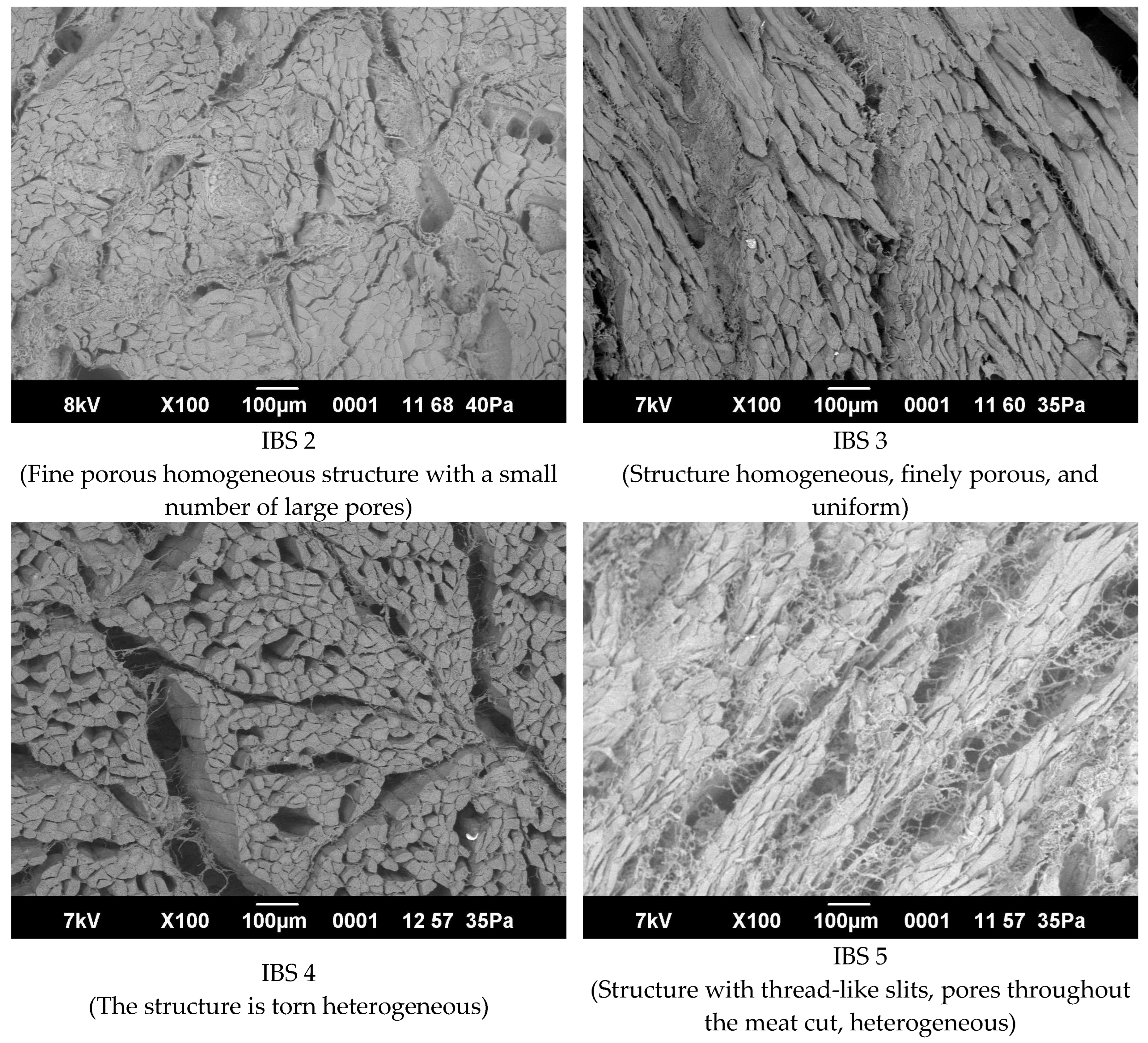 Processes 12 01766 g005c