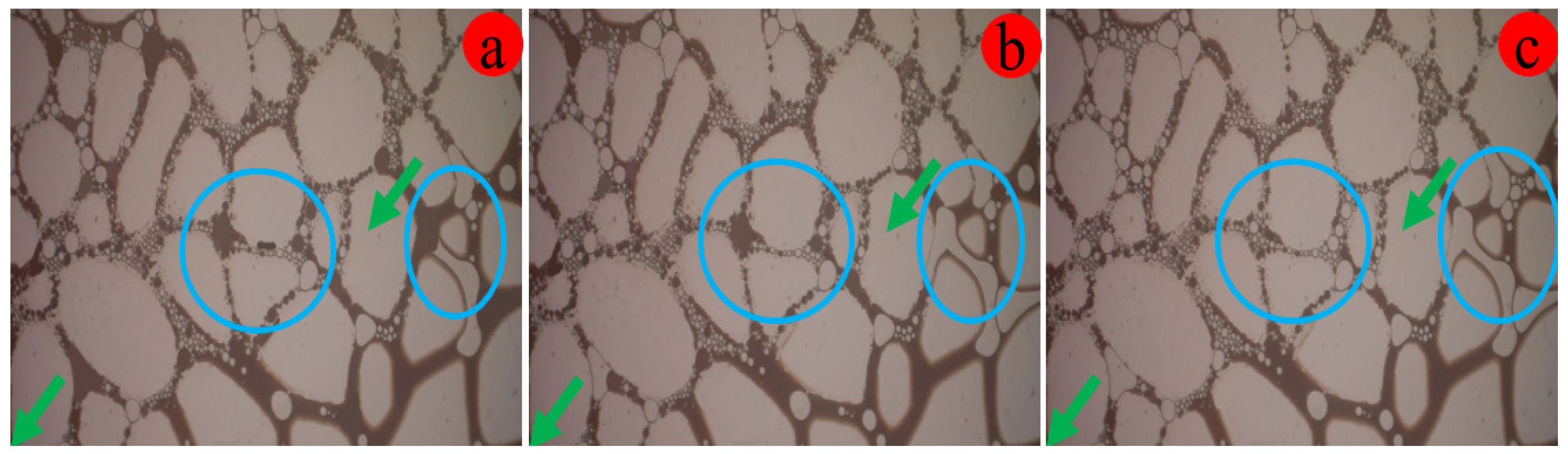 Processes 12 01775 g017
