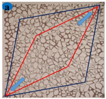Processes 12 01775 i010
