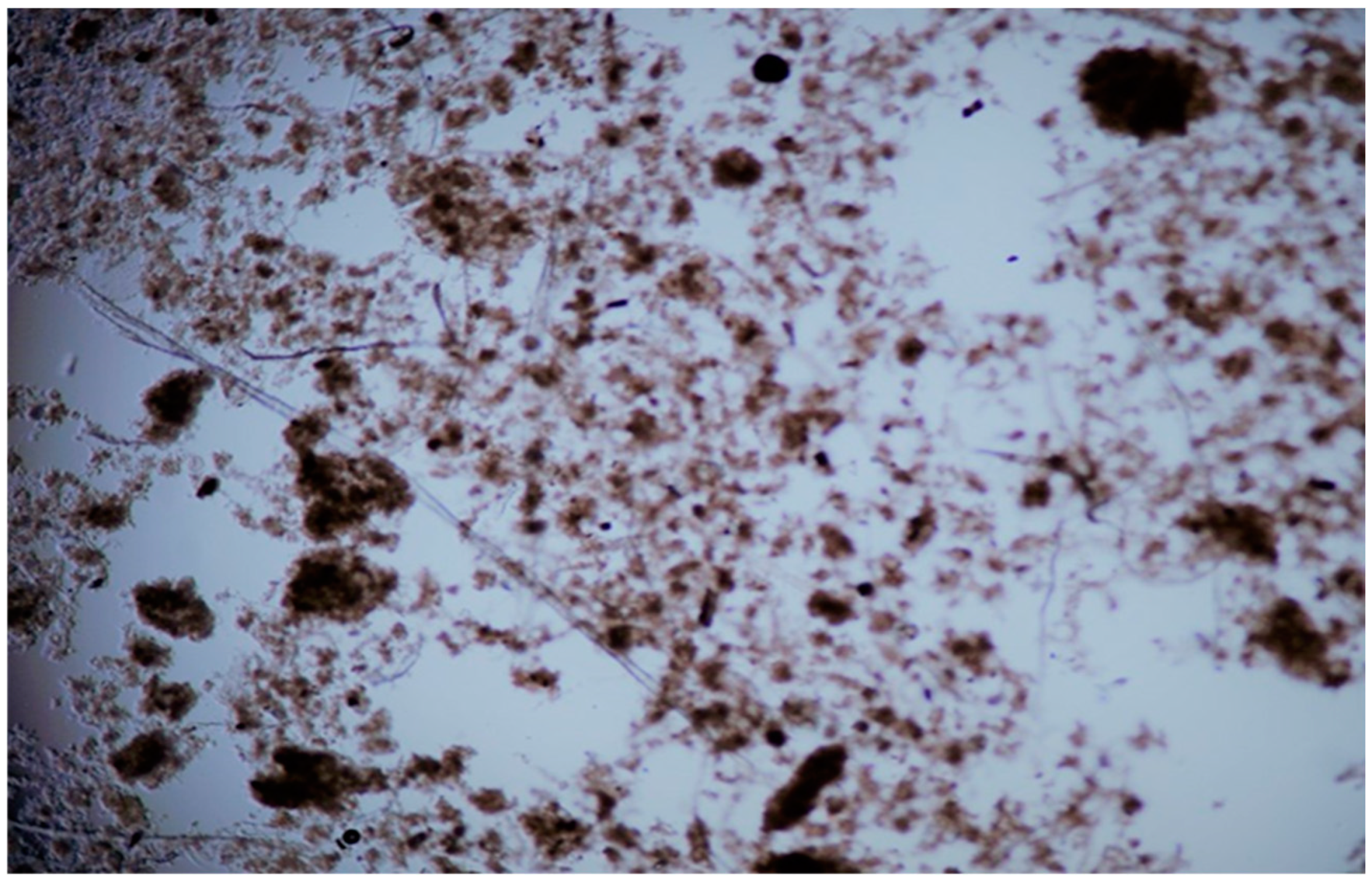 Processes 12 01782 g007