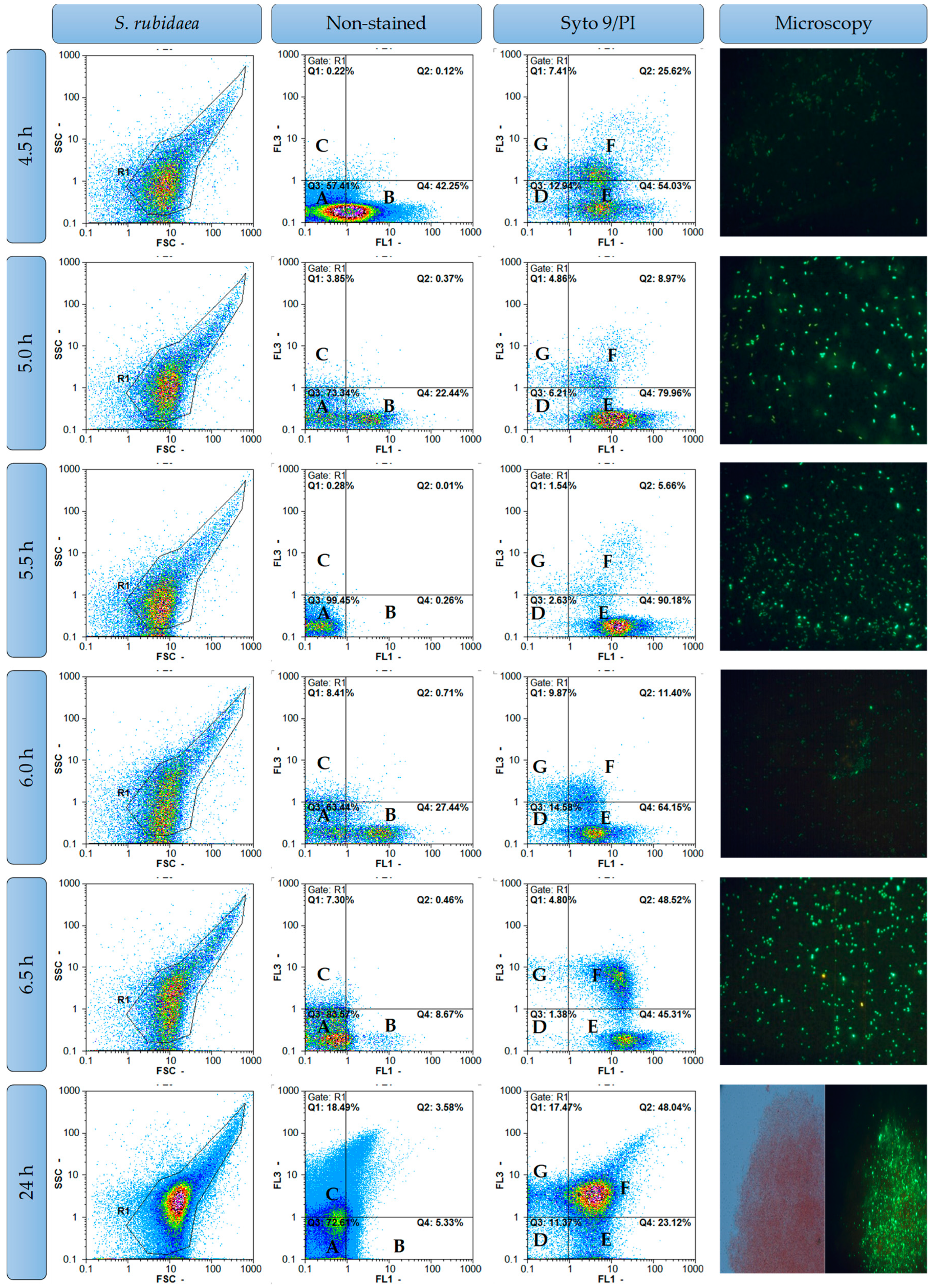 Processes 12 01794 g008 Processes 12 01794 g008