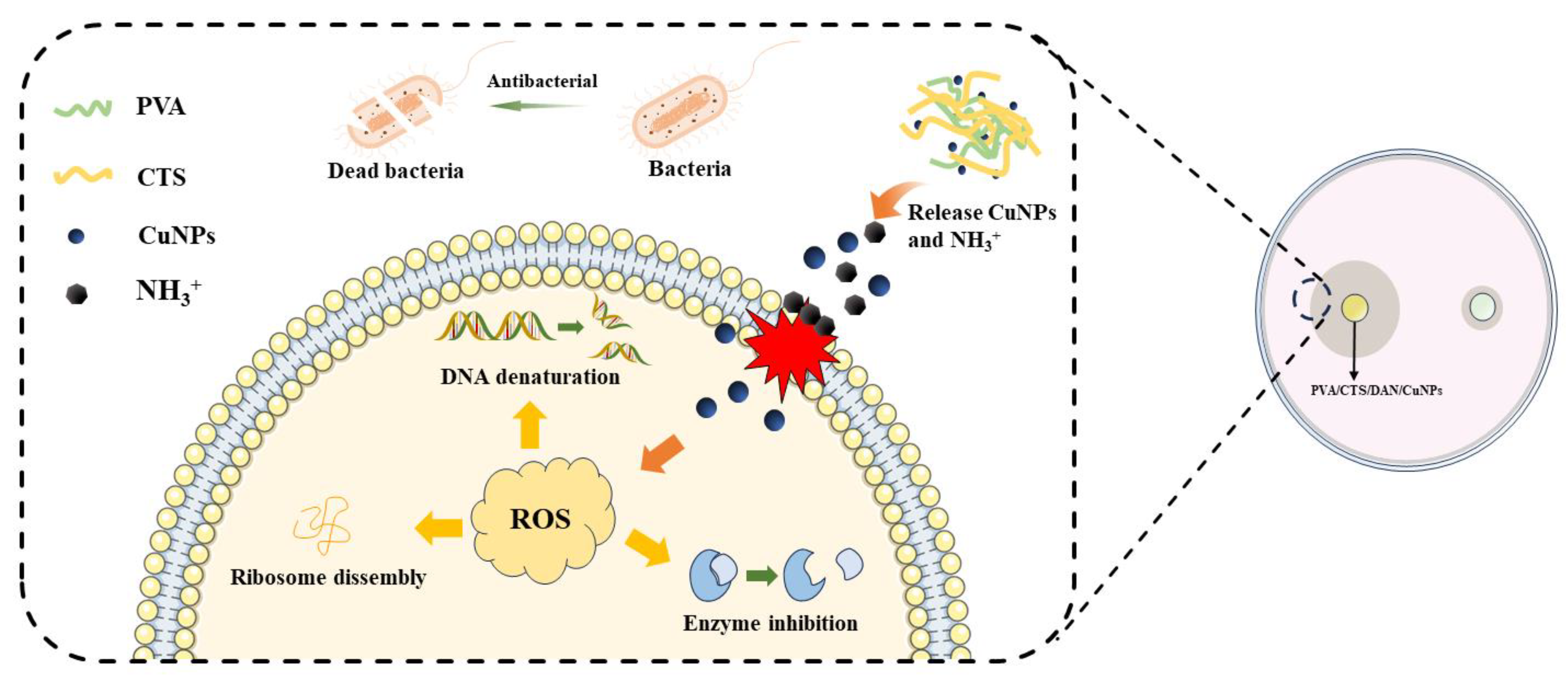 Processes 12 01809 g007