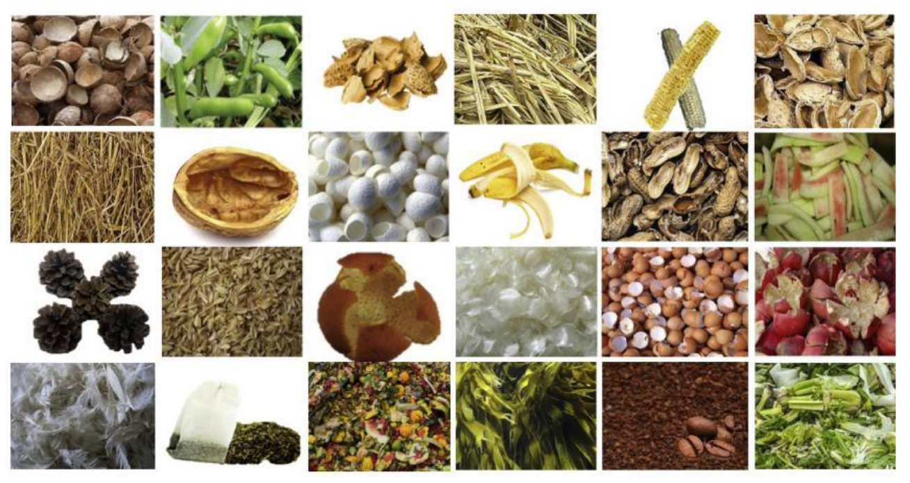 Processes 12 01817 g002