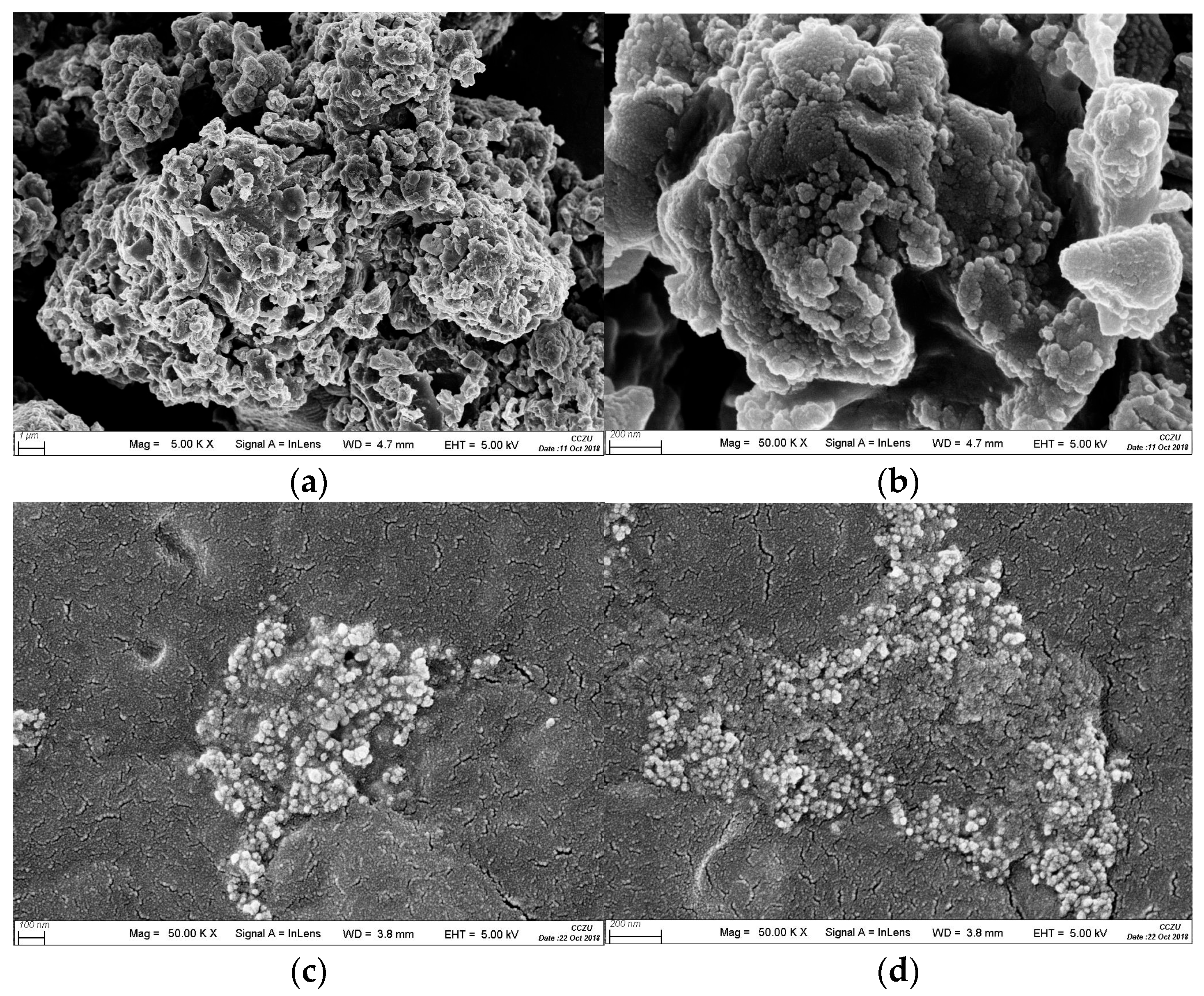 Processes 12 01818 g003