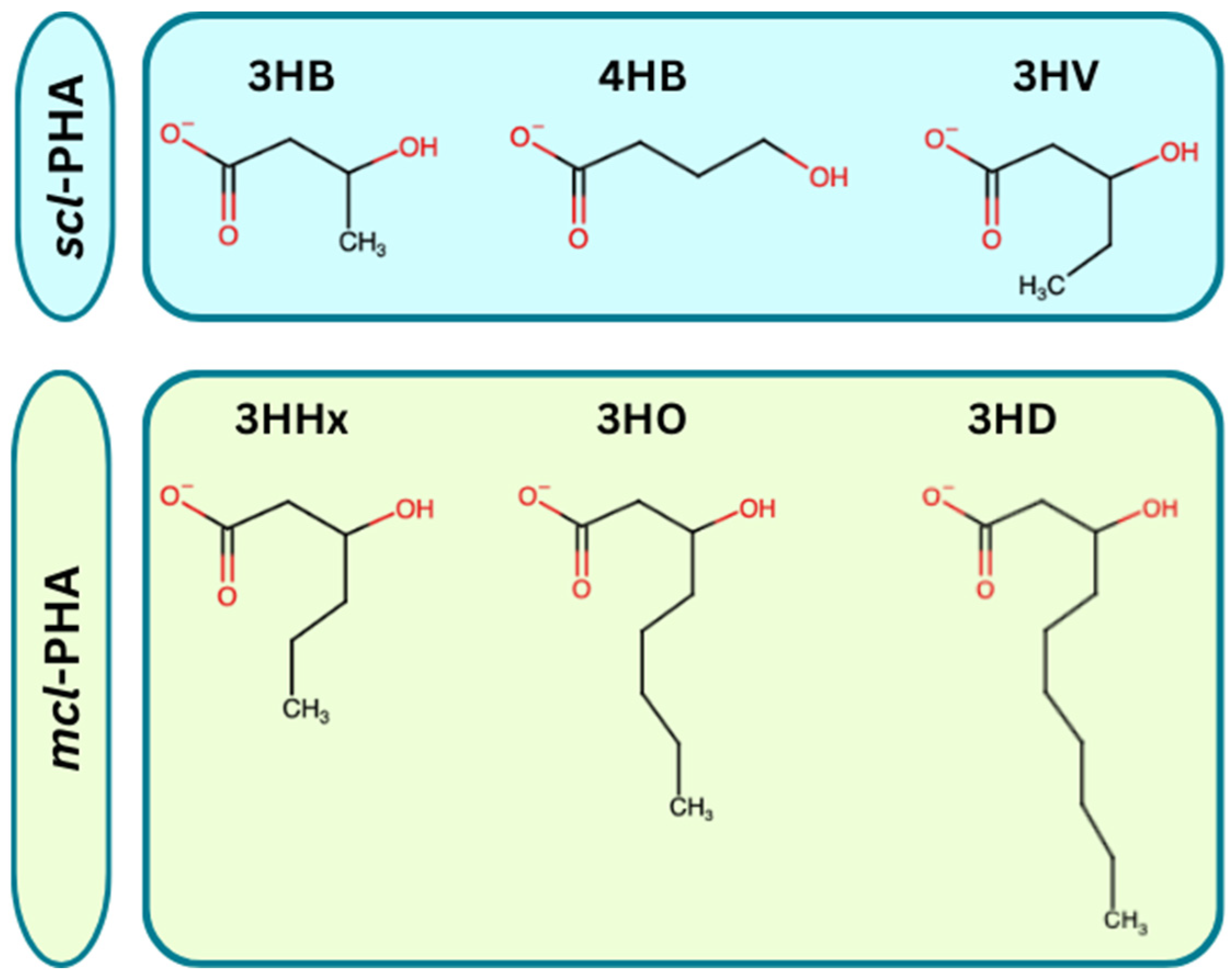 Processes 12 01886 g002