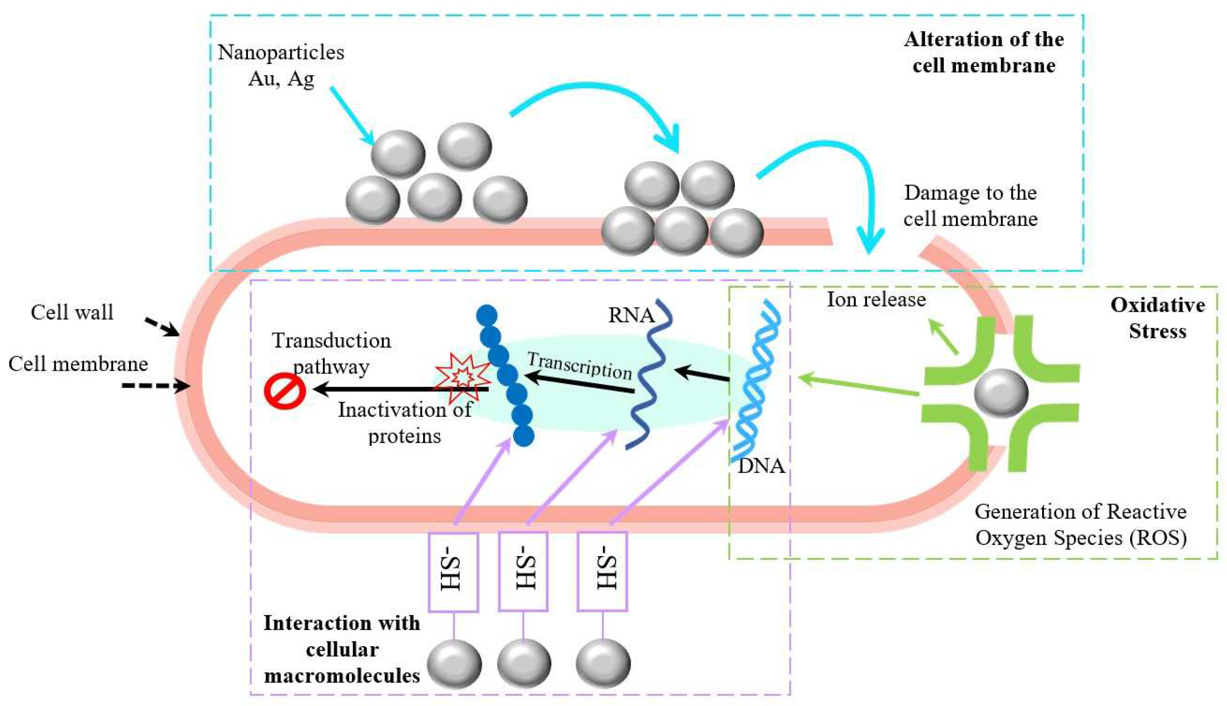 Processes 12 01889 g011