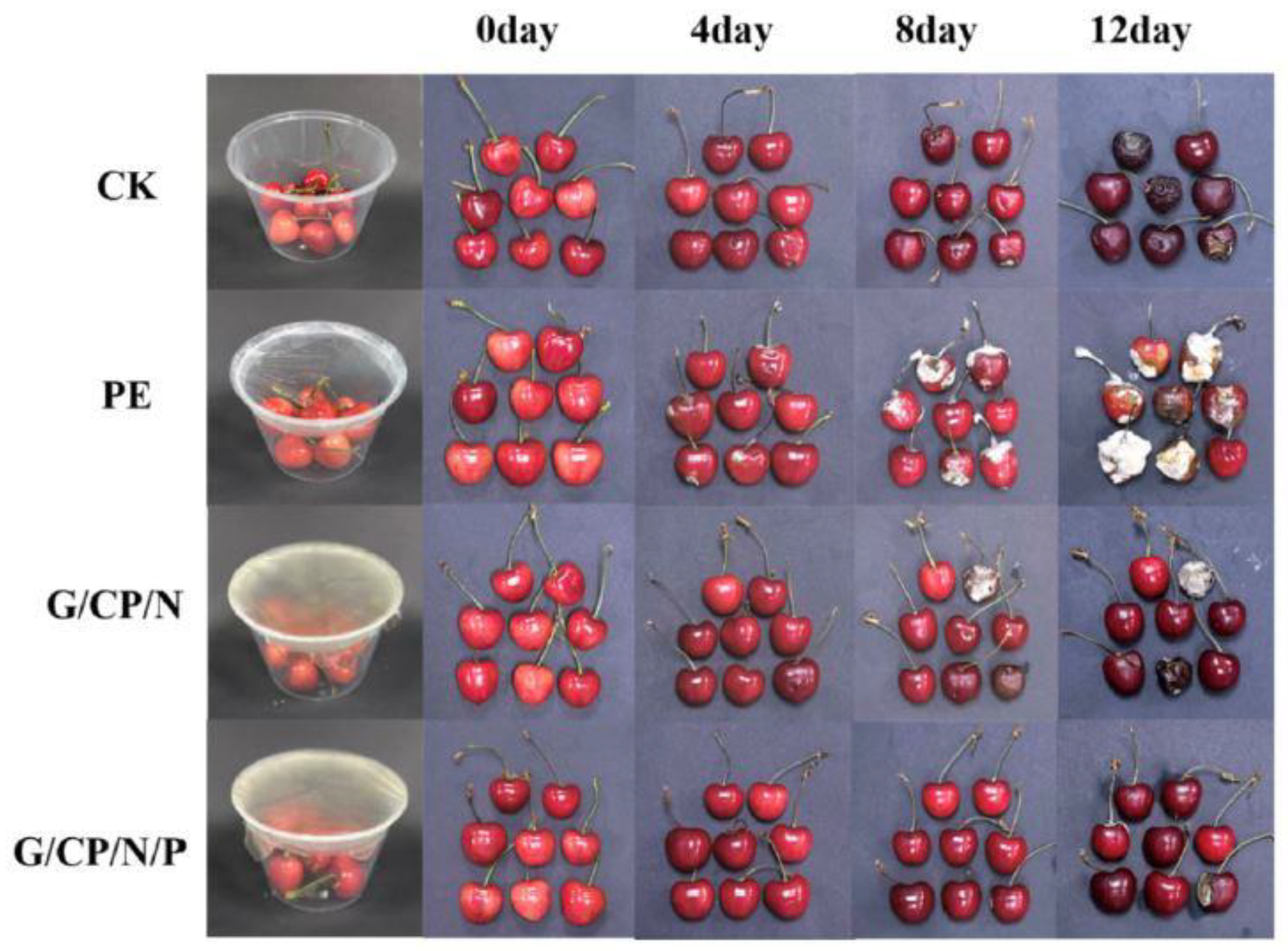 Processes 12 01894 g006