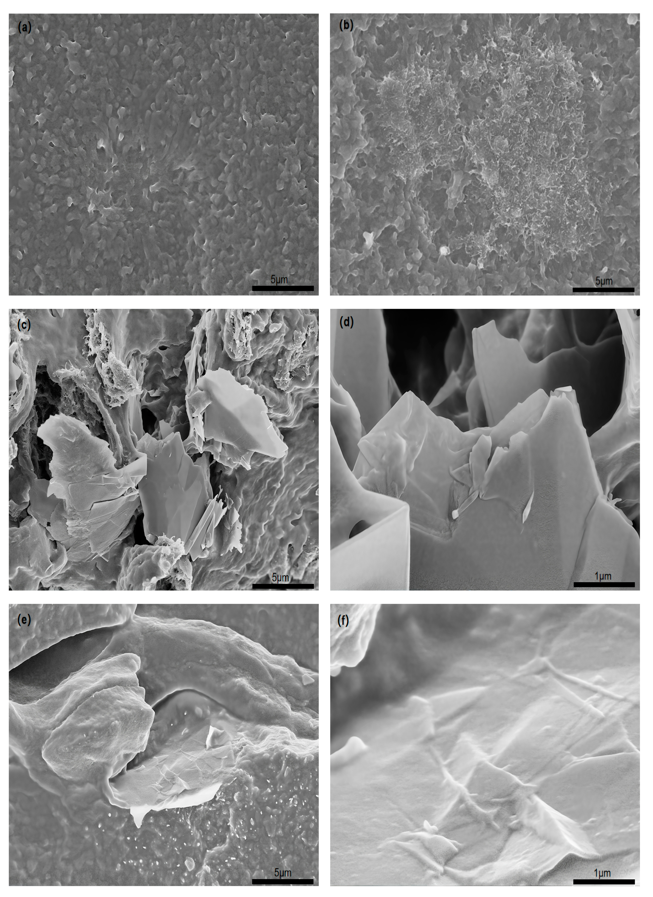 Processes 12 01913 g001