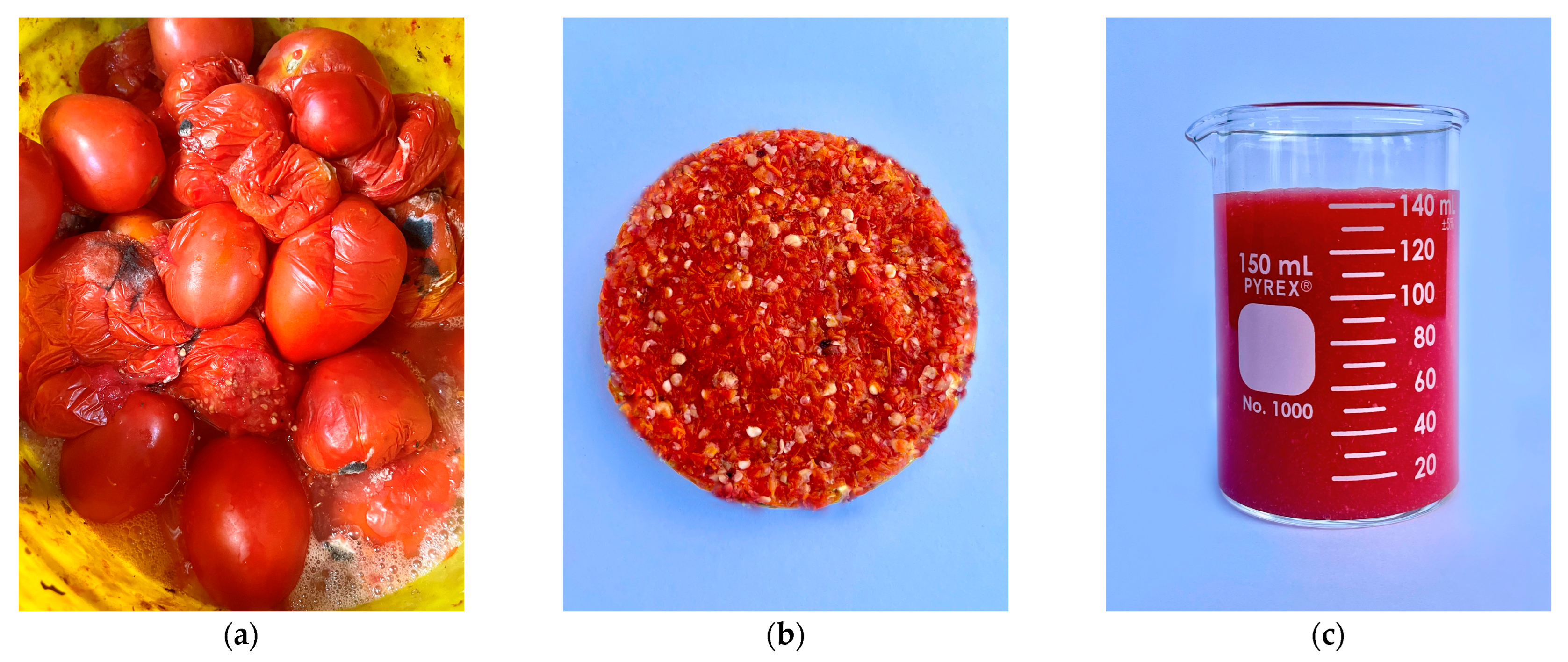 Processes 12 01923 g002