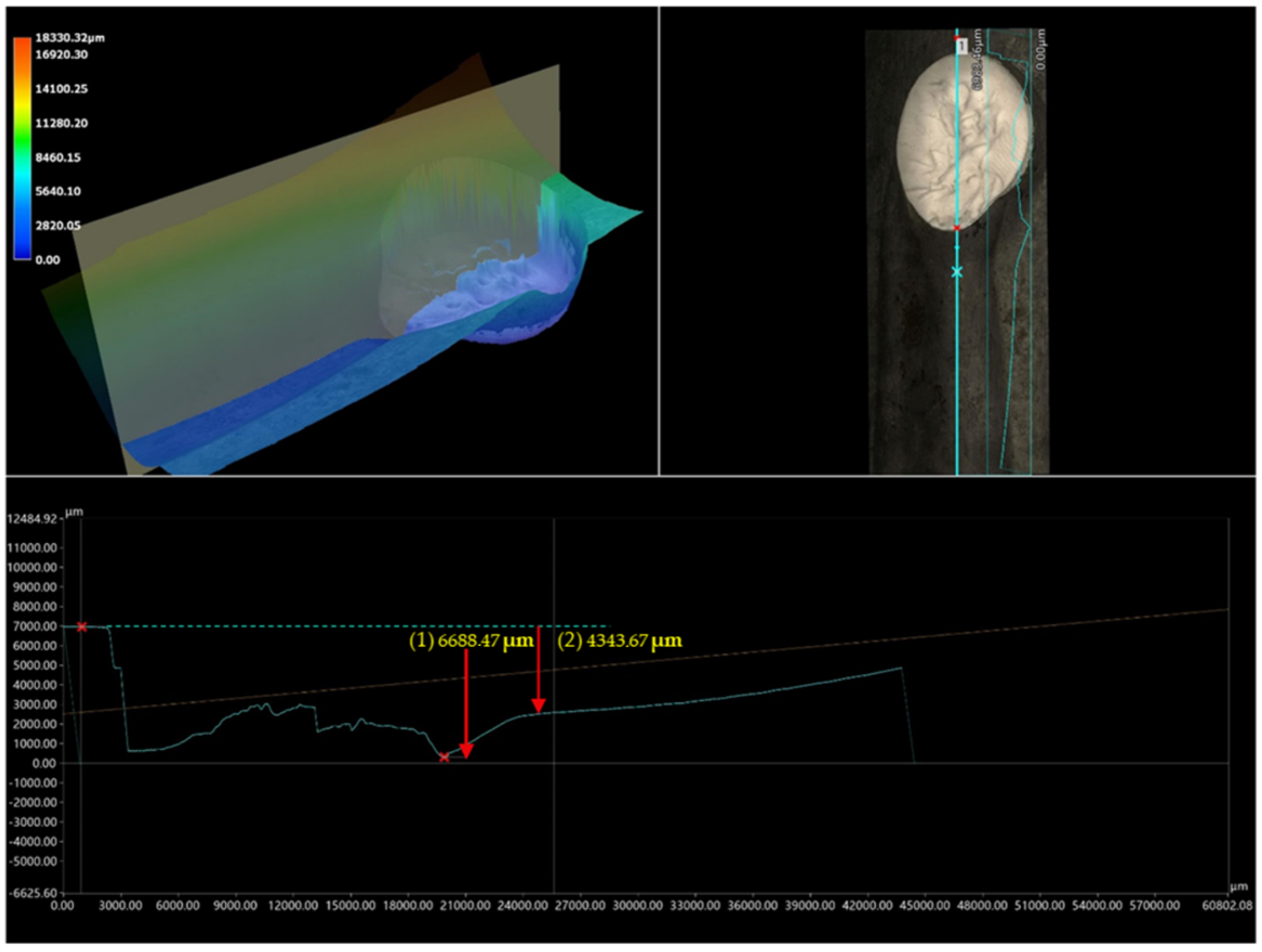 Processes 12 01953 g006