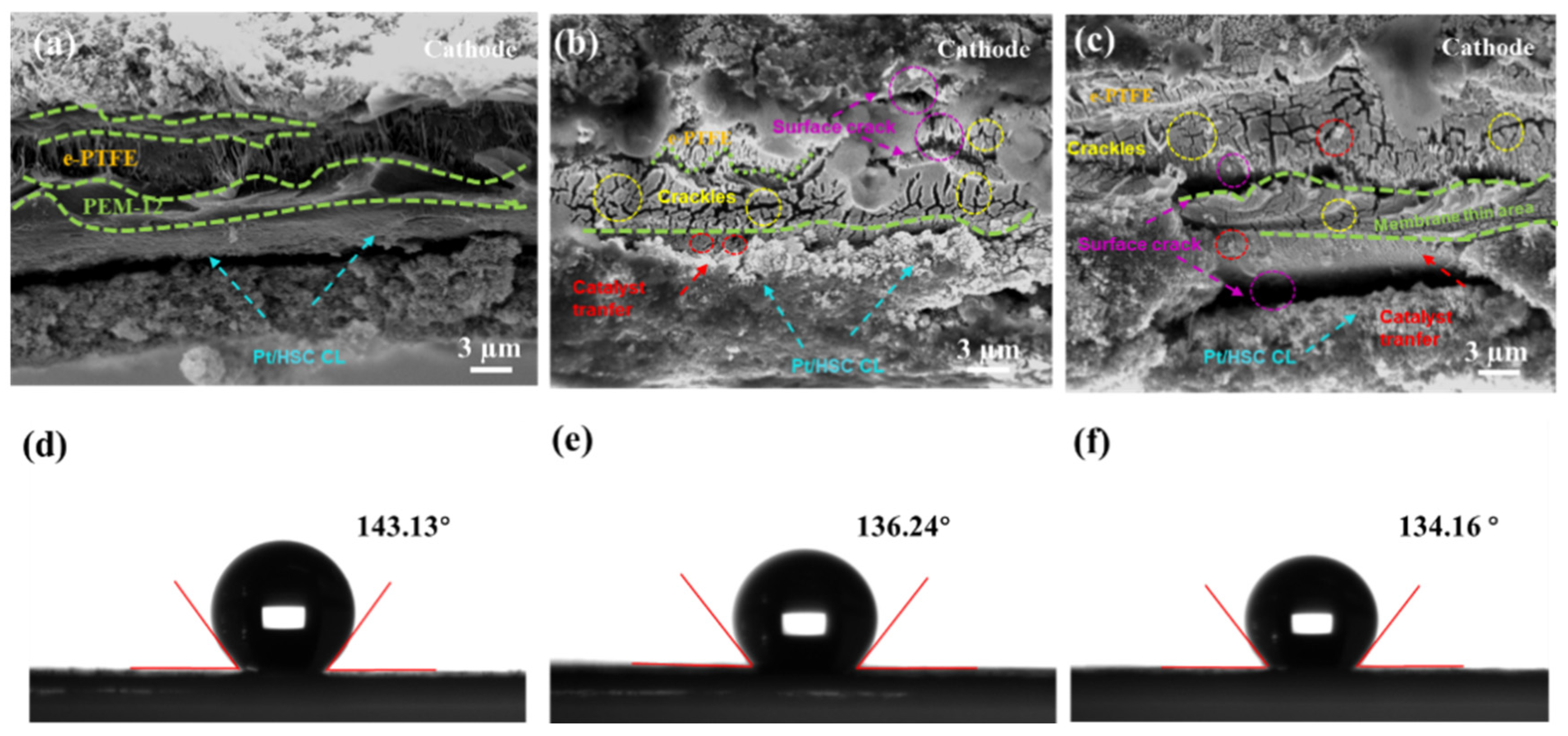 Processes 12 01983 g005