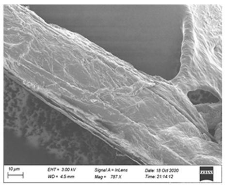 Processes 12 01997 i001