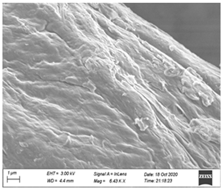 Processes 12 01997 i002