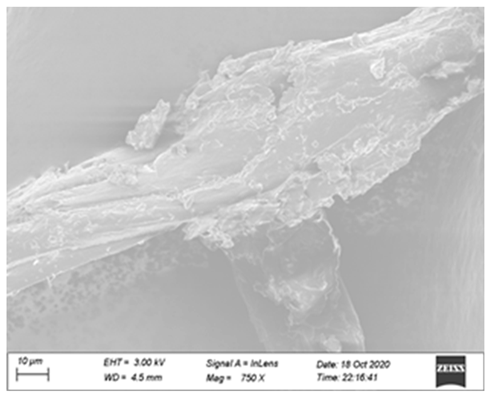 Processes 12 01997 i010
