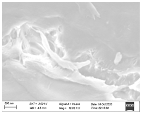 Processes 12 01997 i012