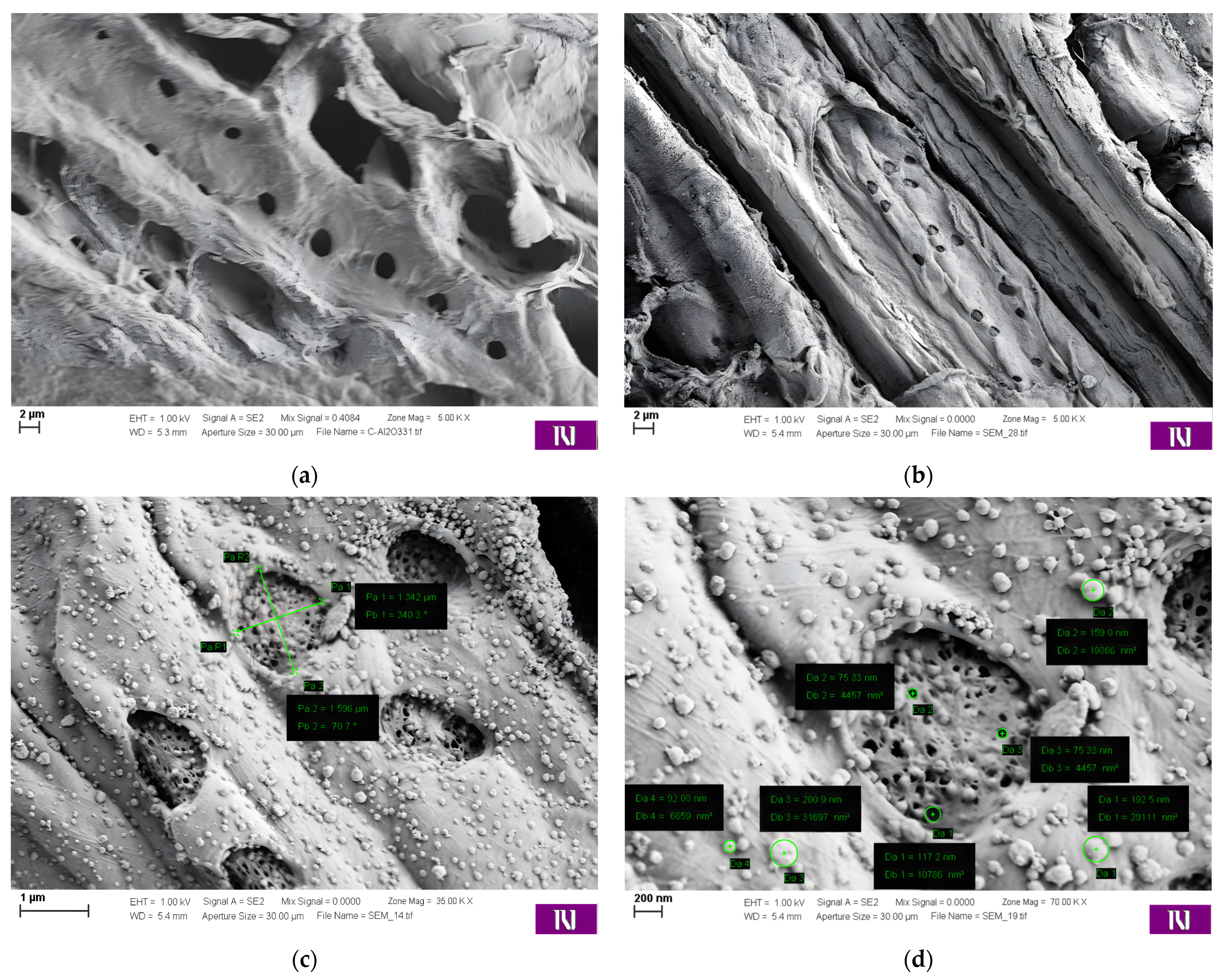 Processes 12 02025 g001