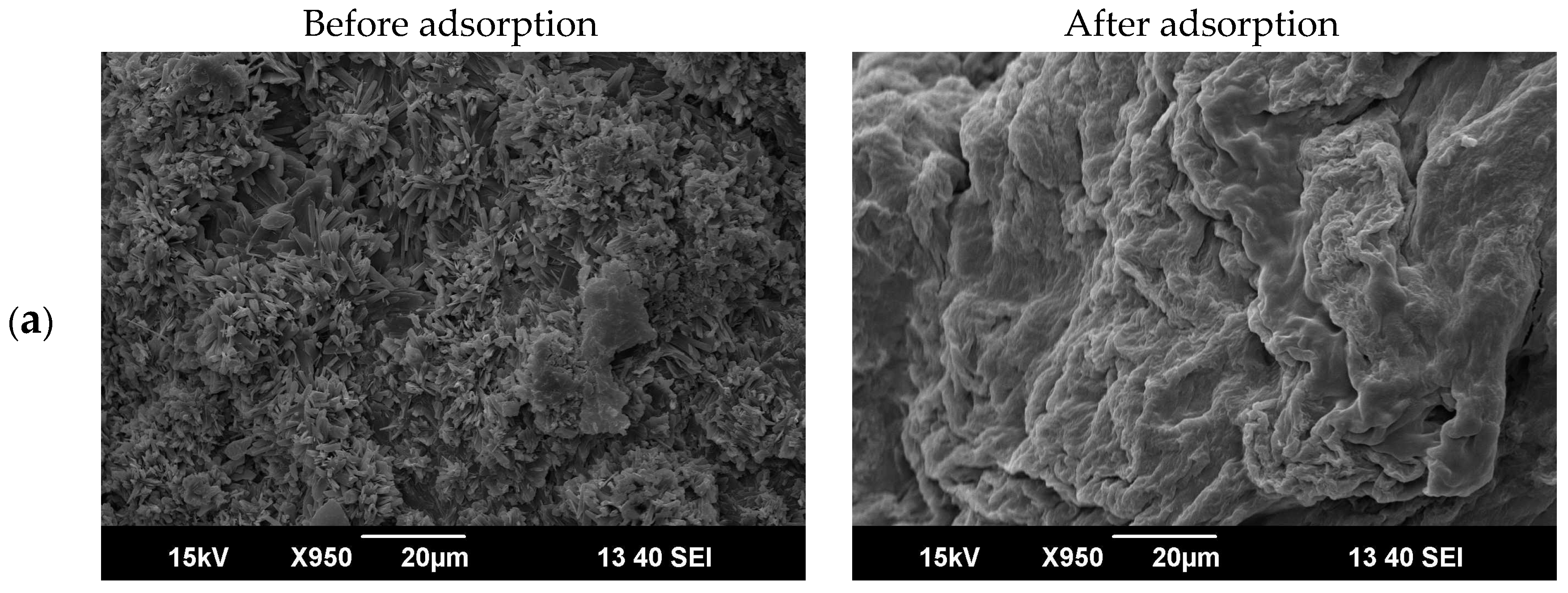 Processes 12 02043 g010a
