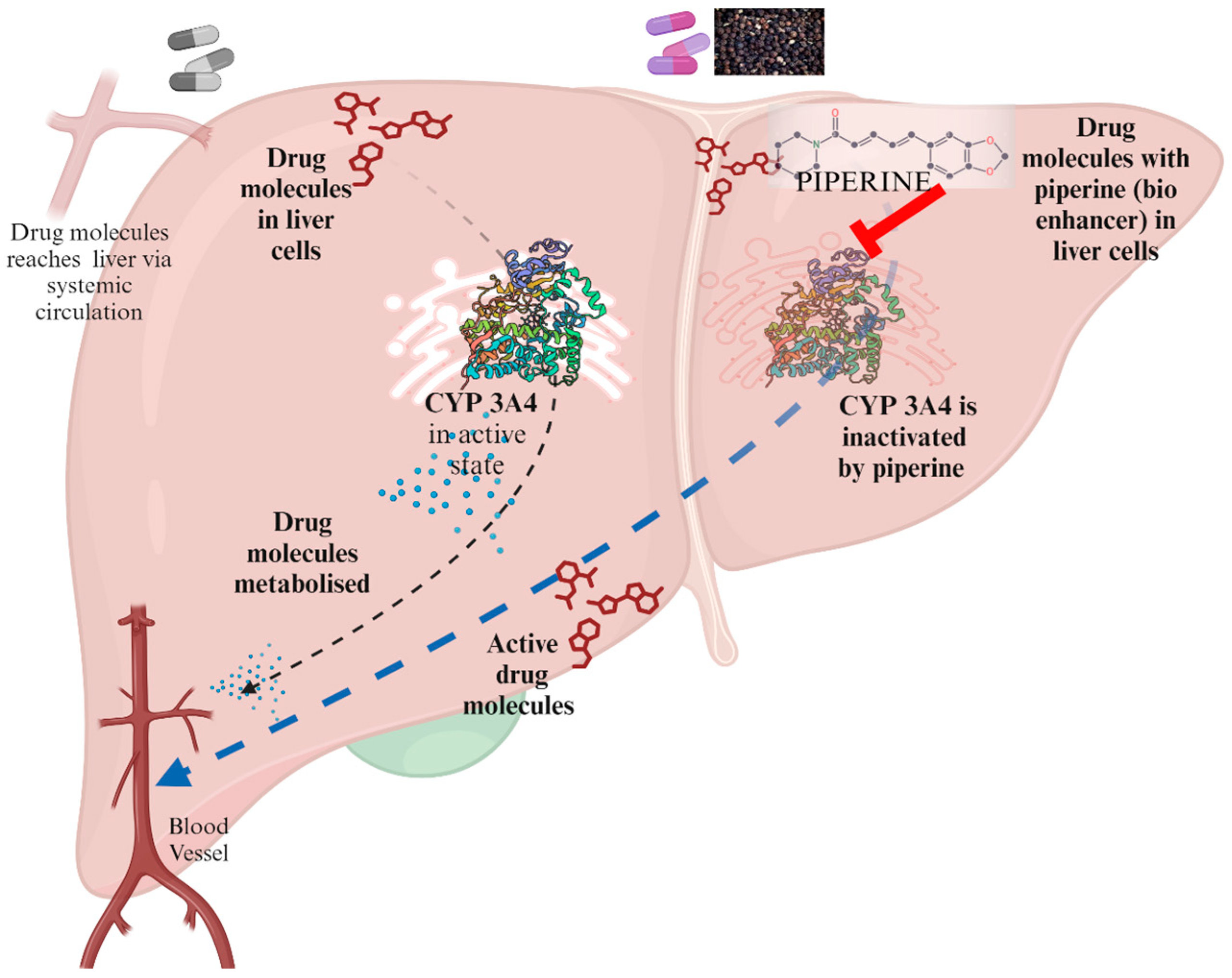 Processes 12 02060 g005