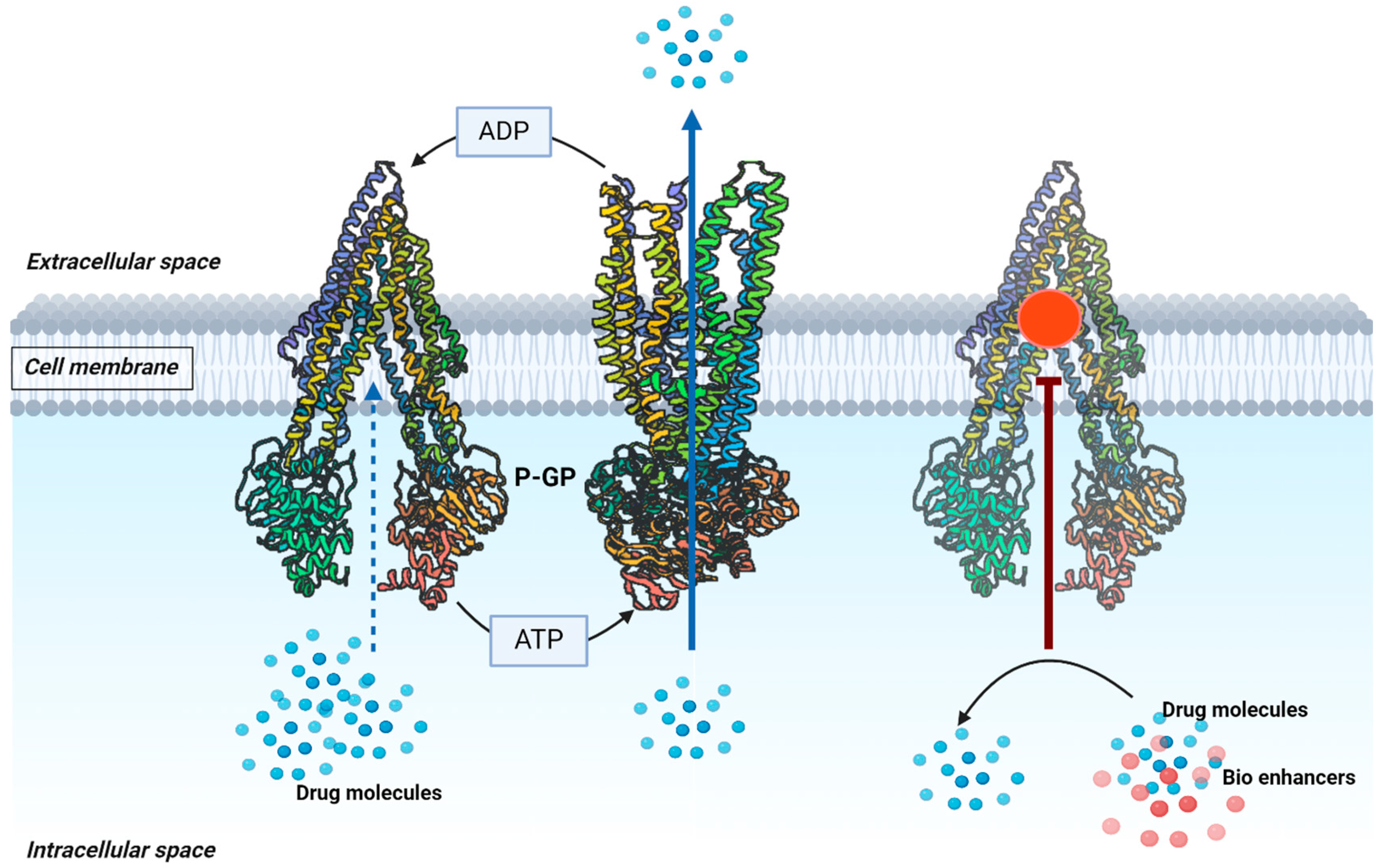 Processes 12 02060 g006