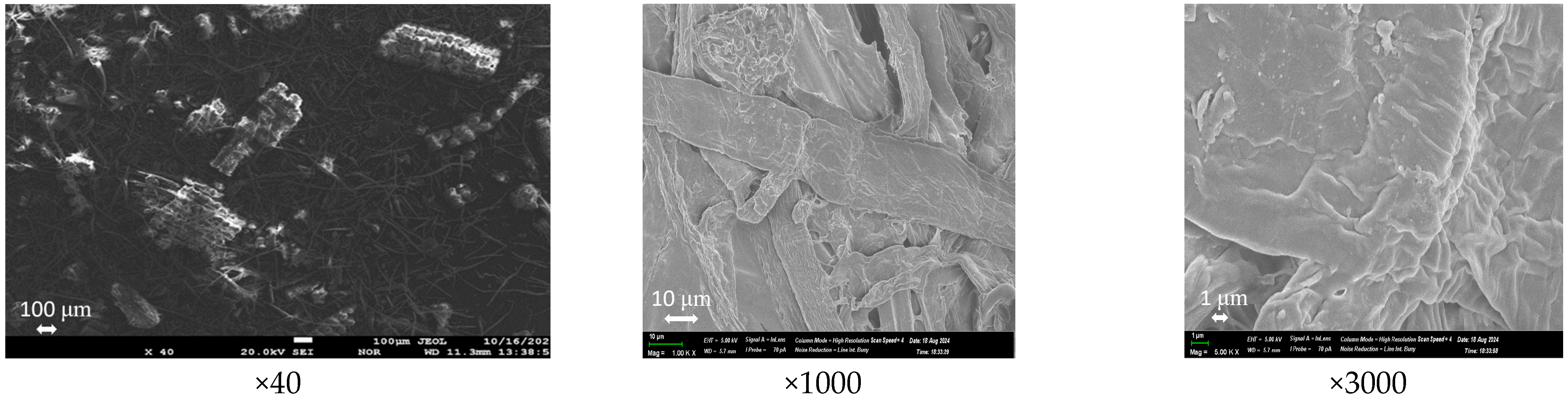 Processes 12 02070 g009