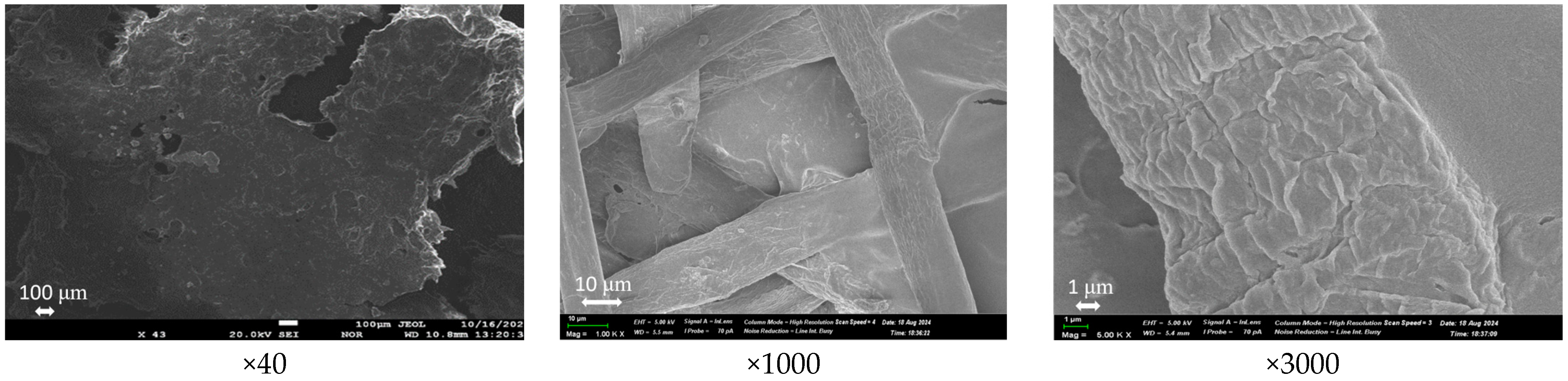 Processes 12 02070 g010