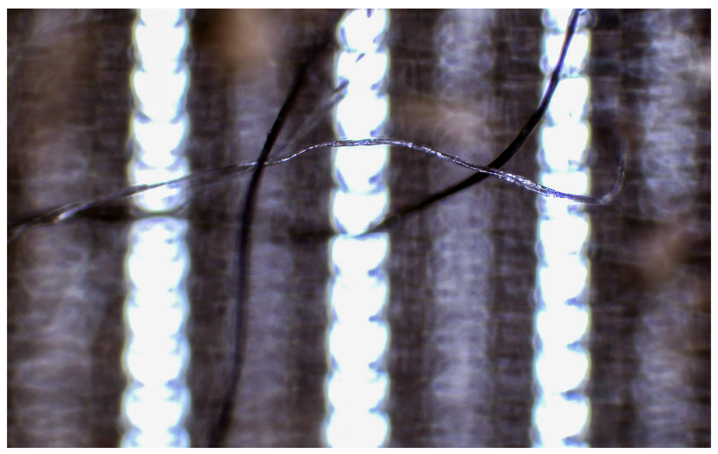 Processes 12 02084 g002