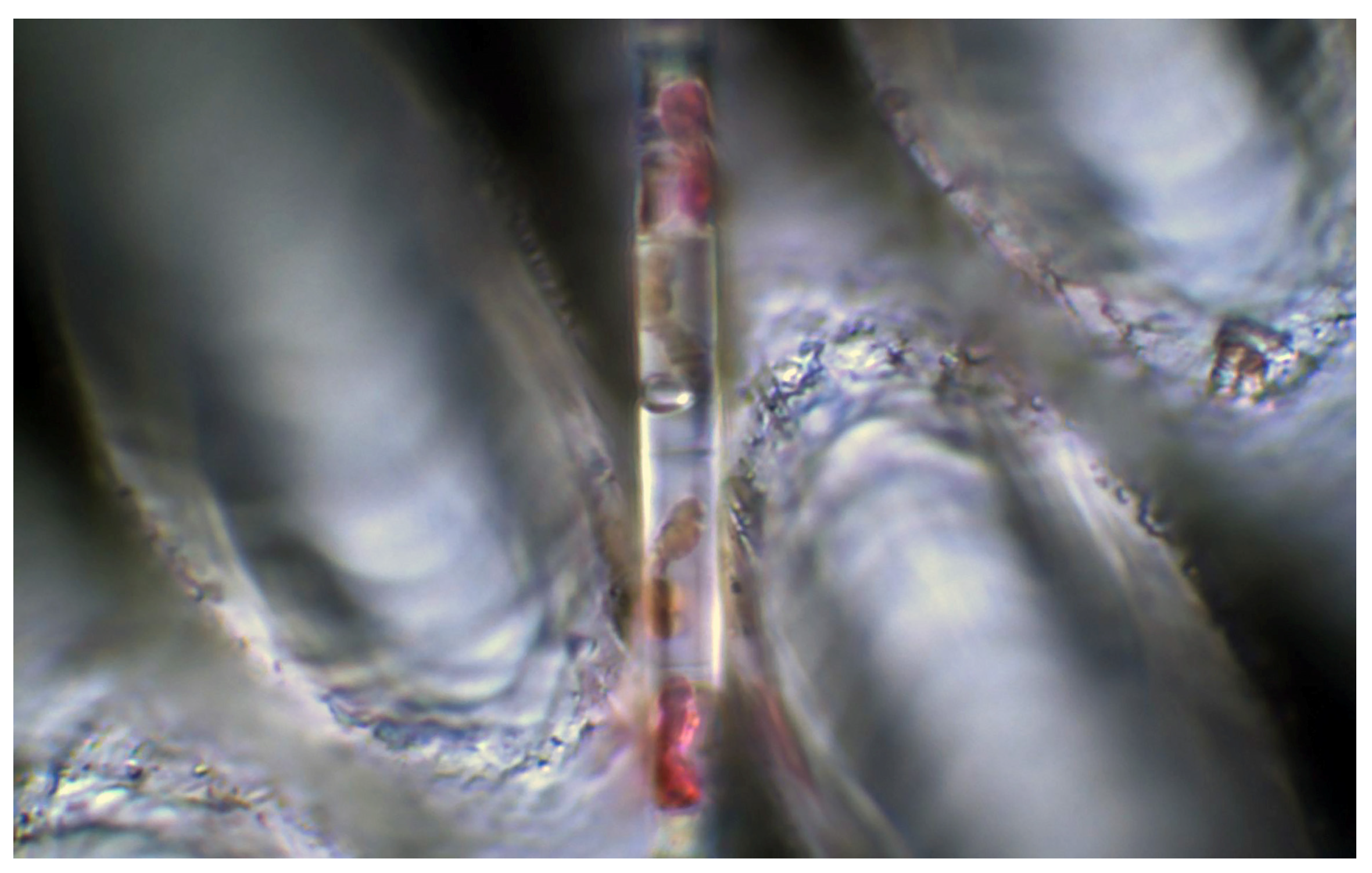 Processes 12 02084 g003