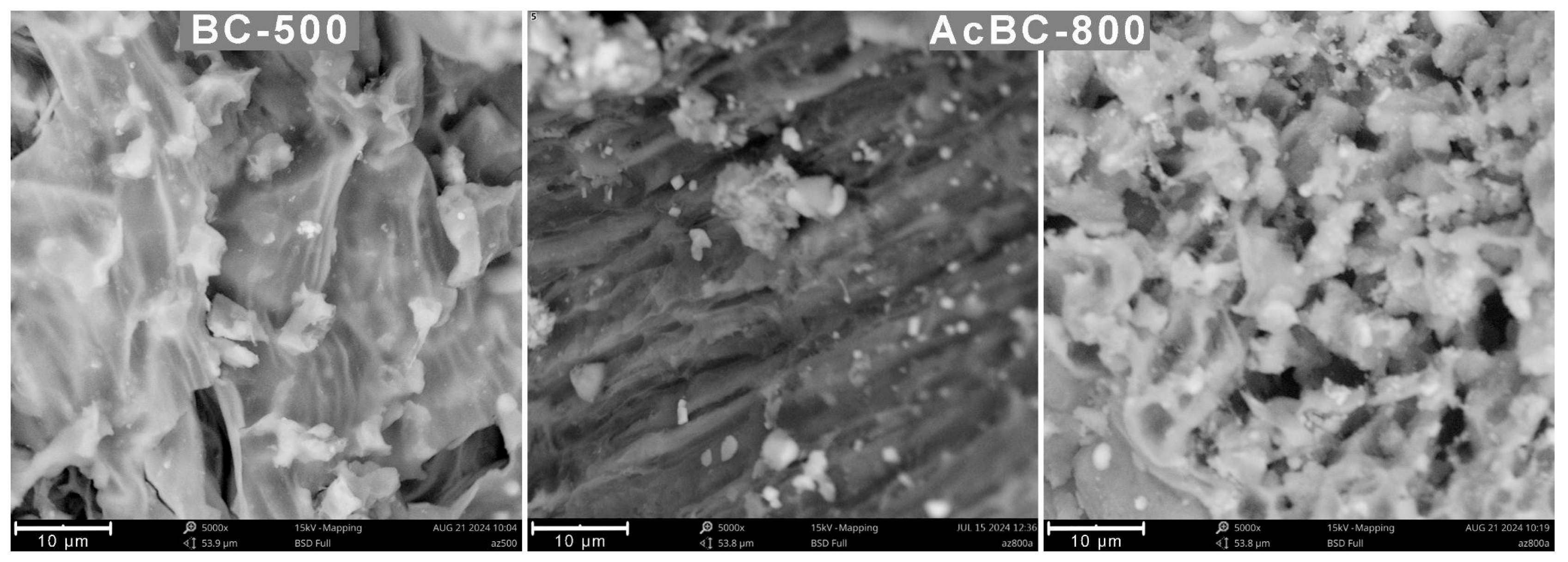 Processes 12 02149 g002