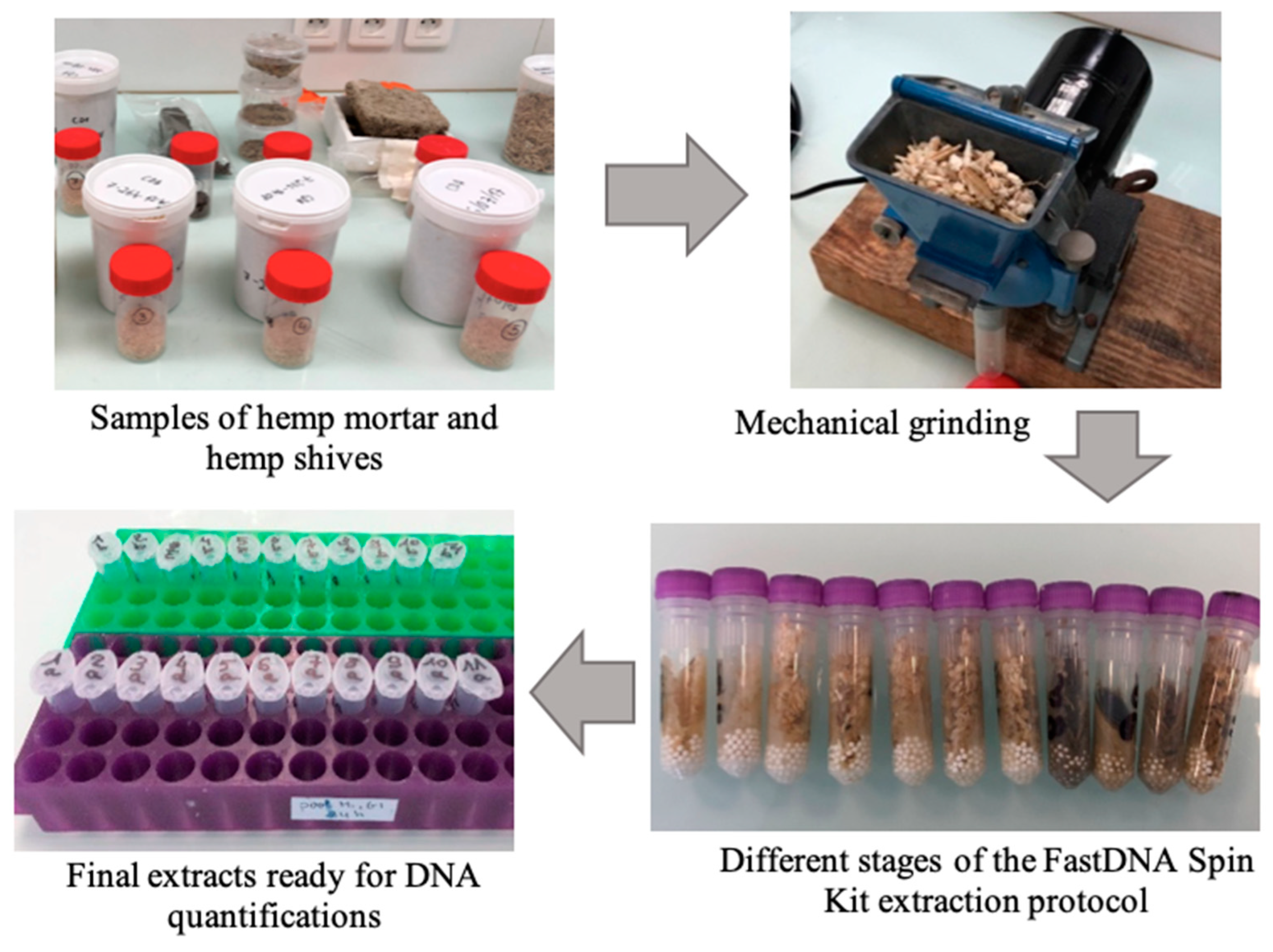 Processes 12 02188 g004