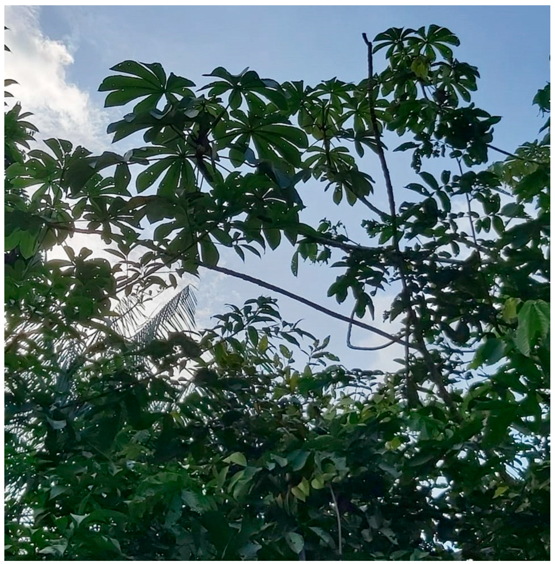 Processes 12 02237 g001 Processes 12 02237 g001