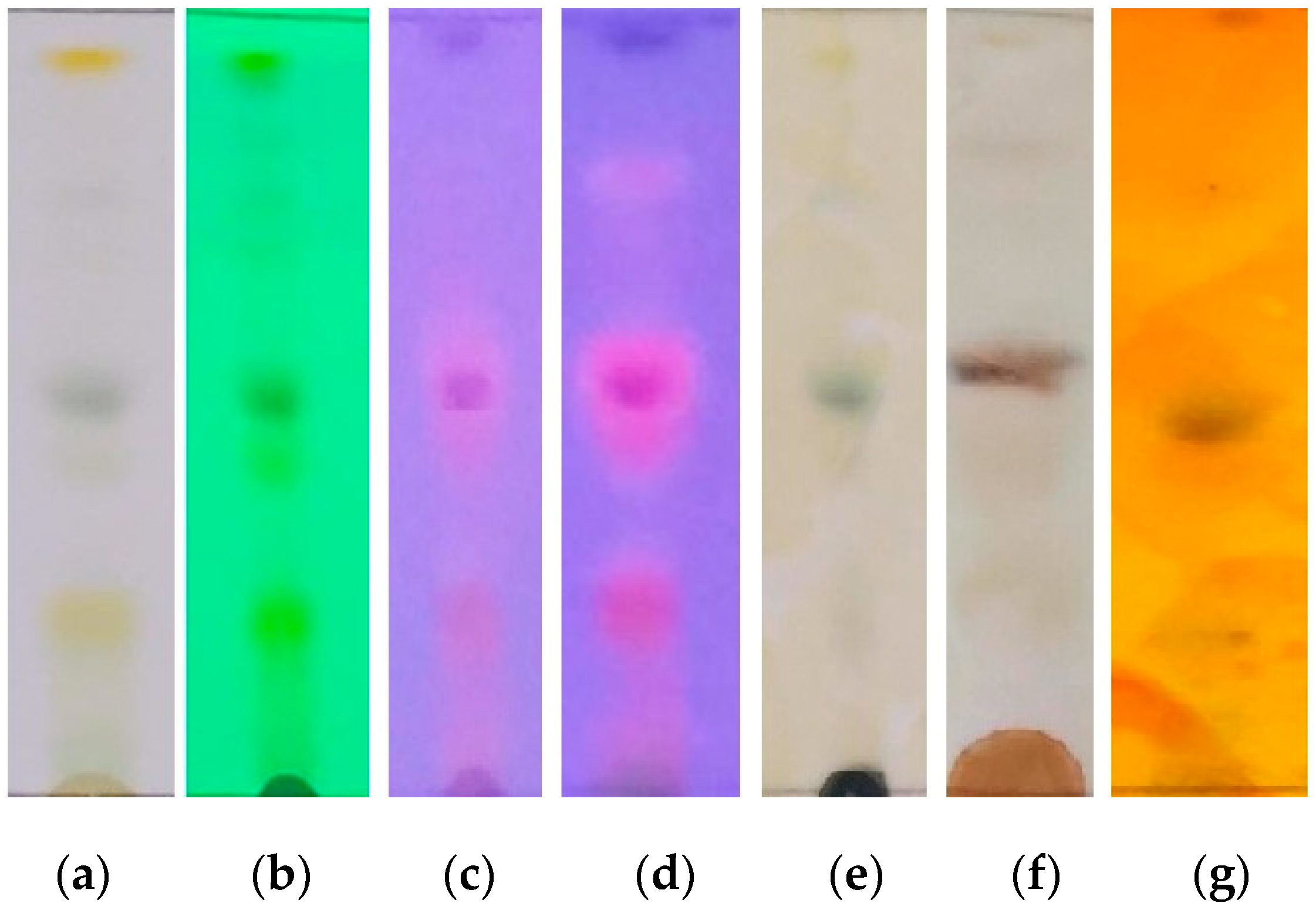 Processes 12 02237 g002 Processes 12 02237 g002