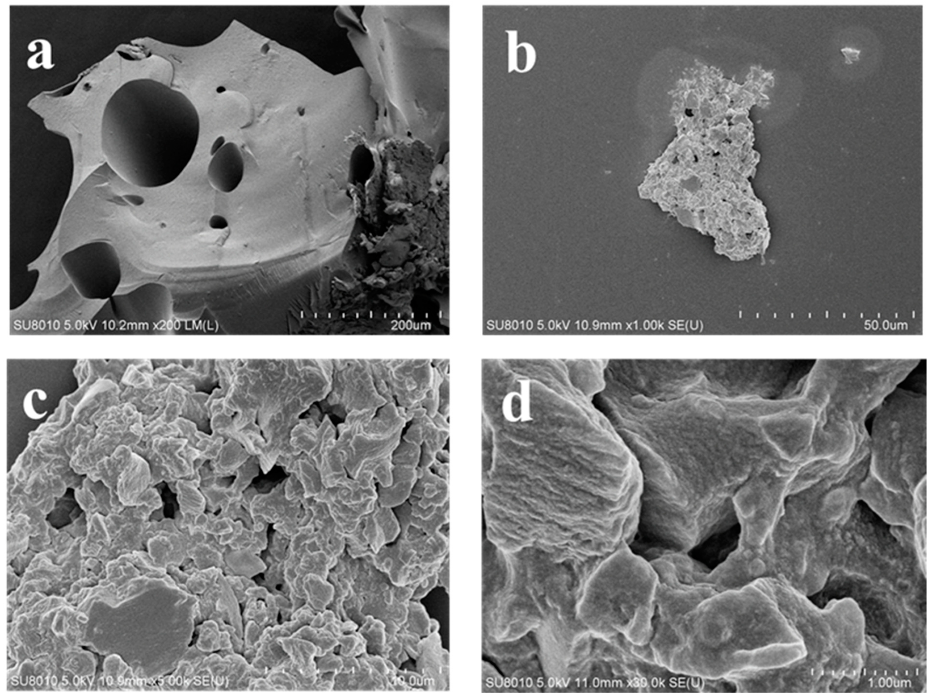Processes 12 02277 g002