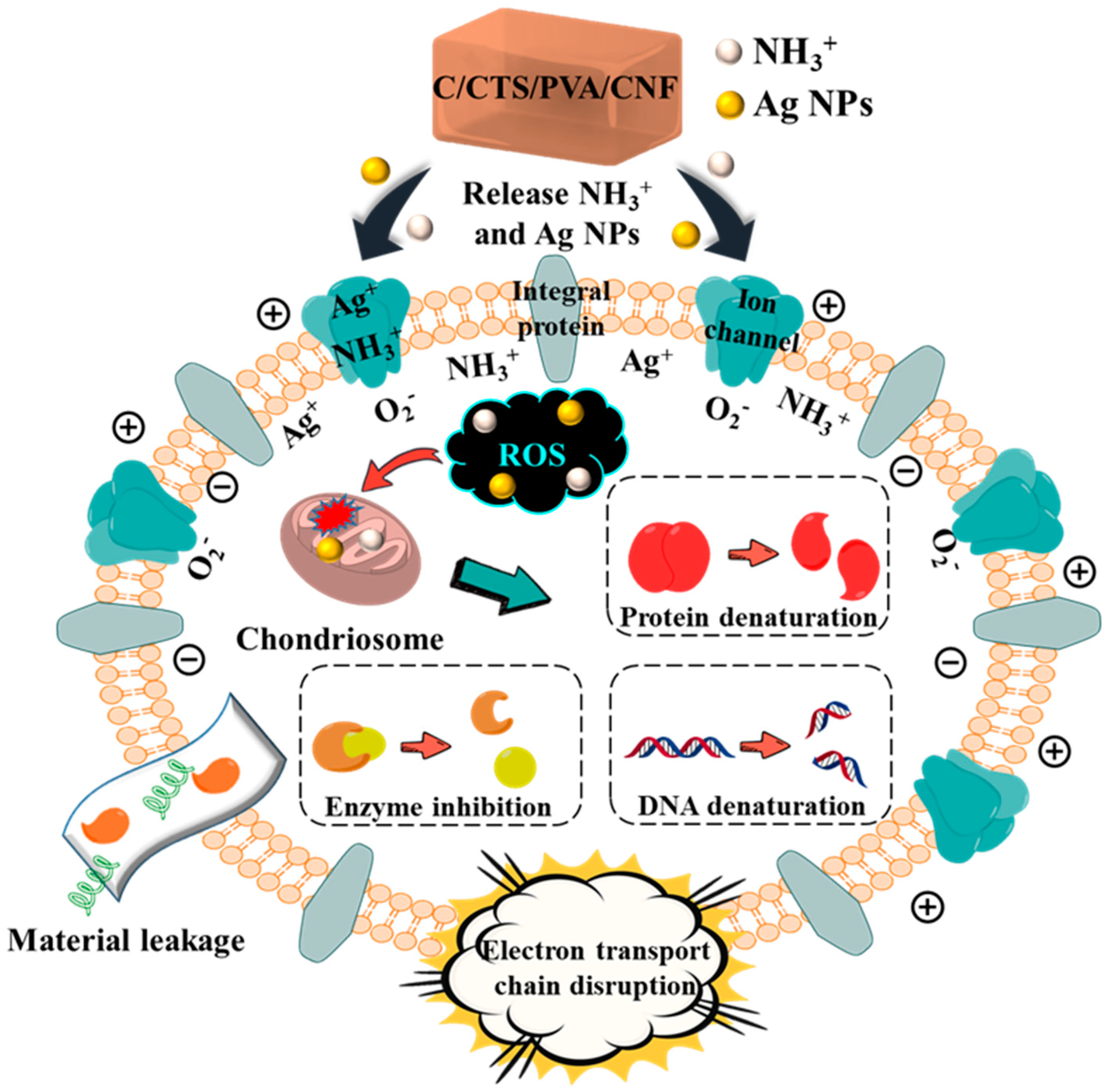 Processes 12 02277 g006