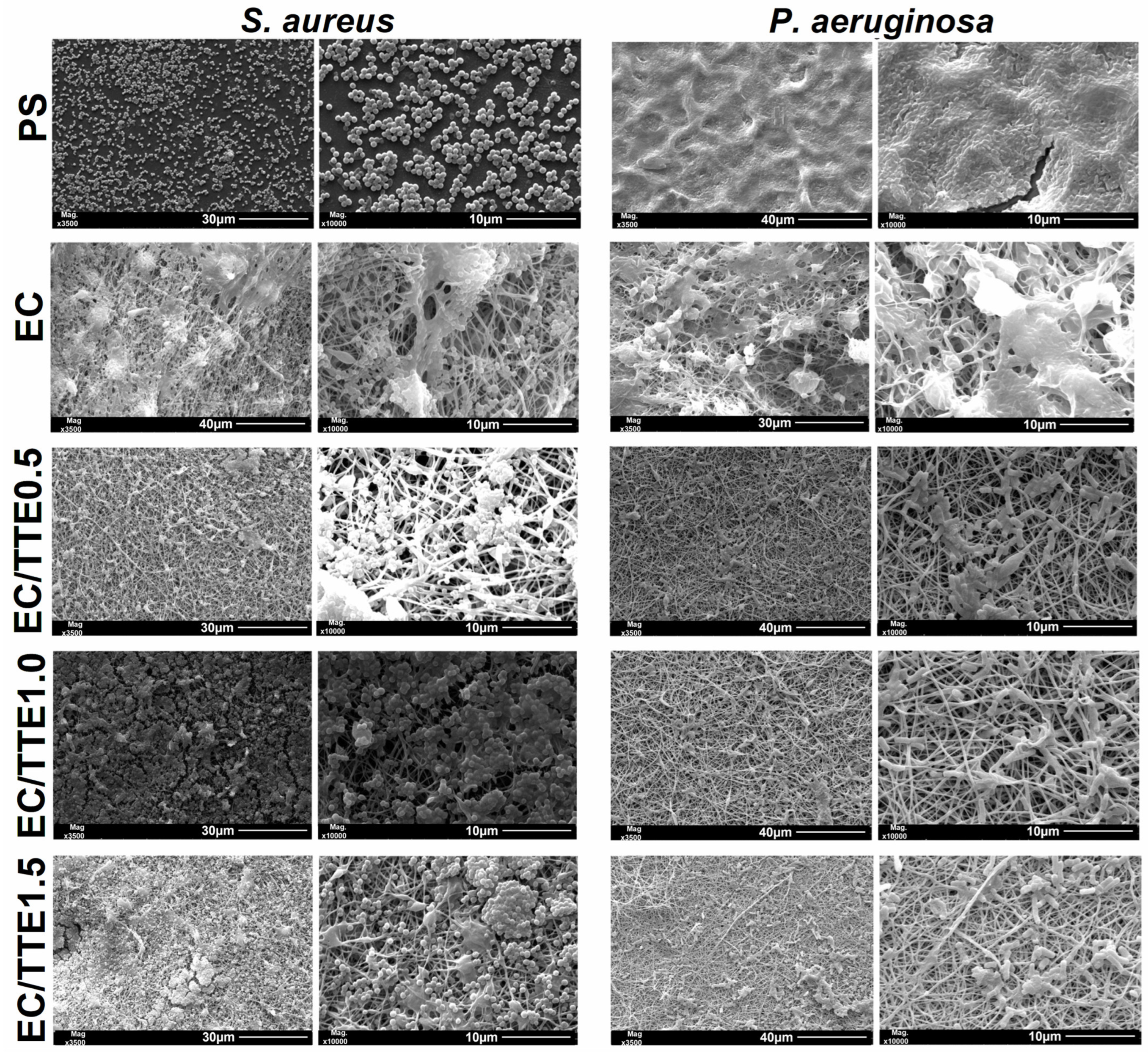 Processes 12 02330 g007