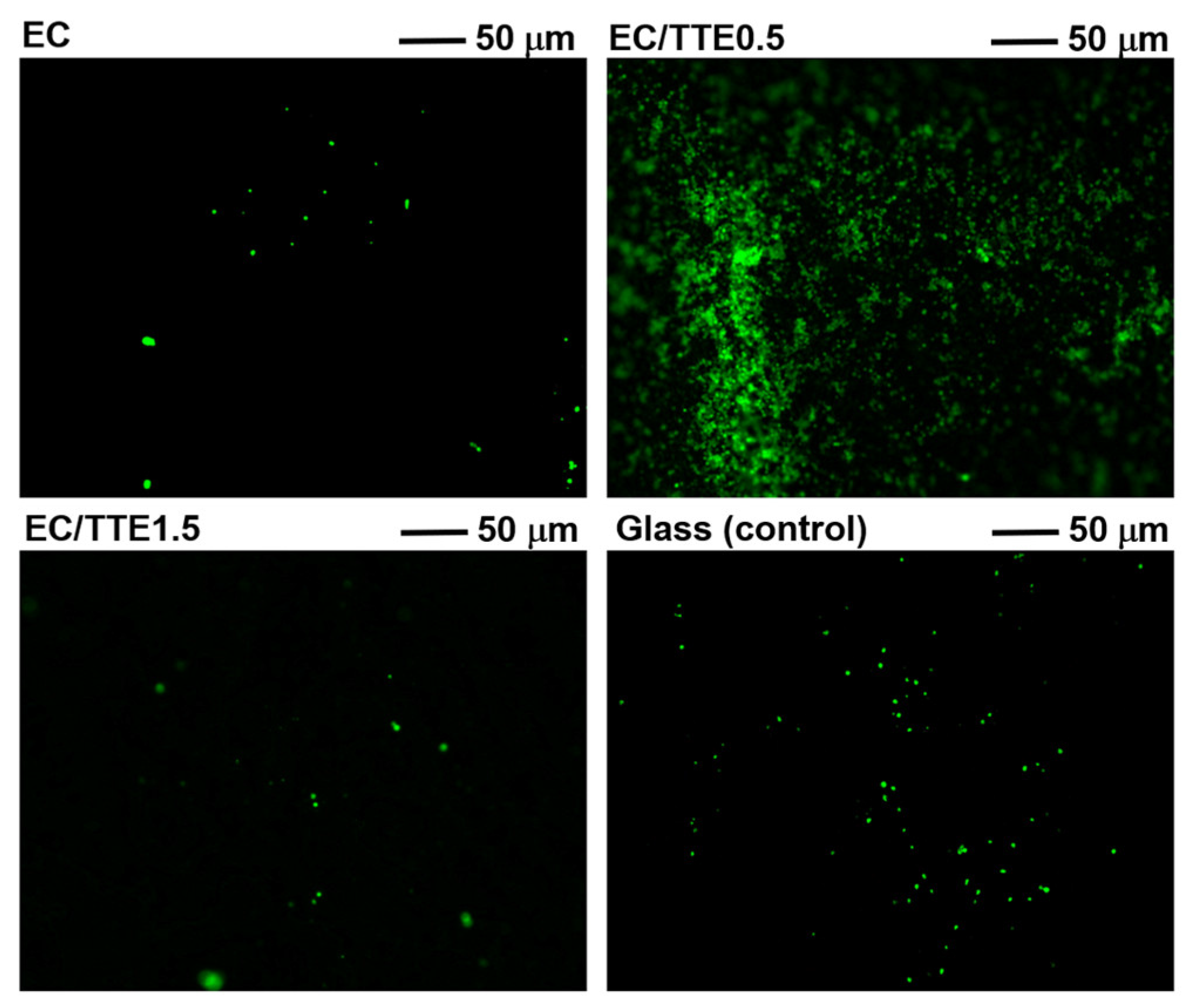 Processes 12 02330 g008