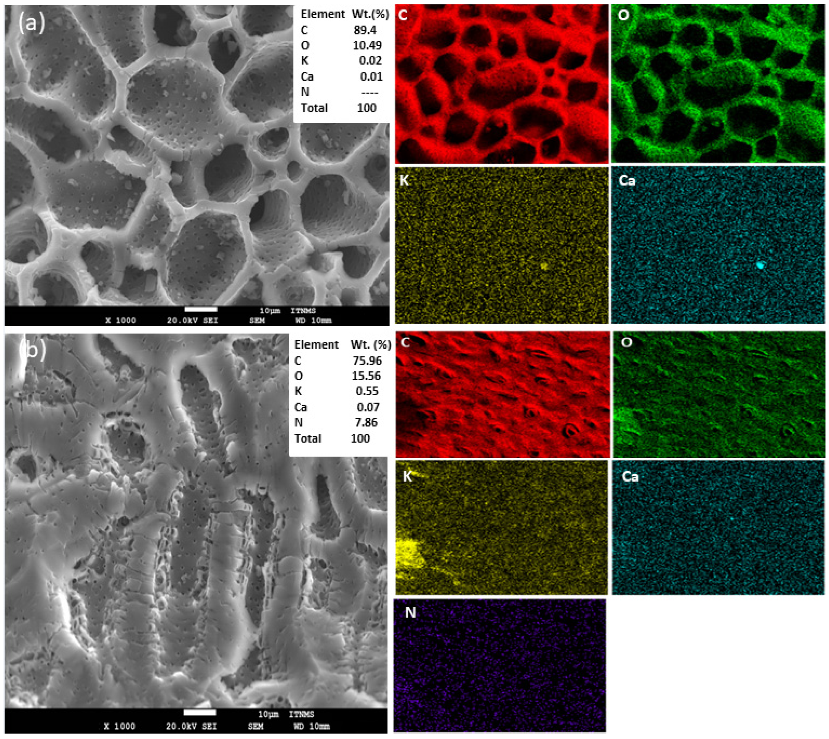 Processes 12 02418 g005