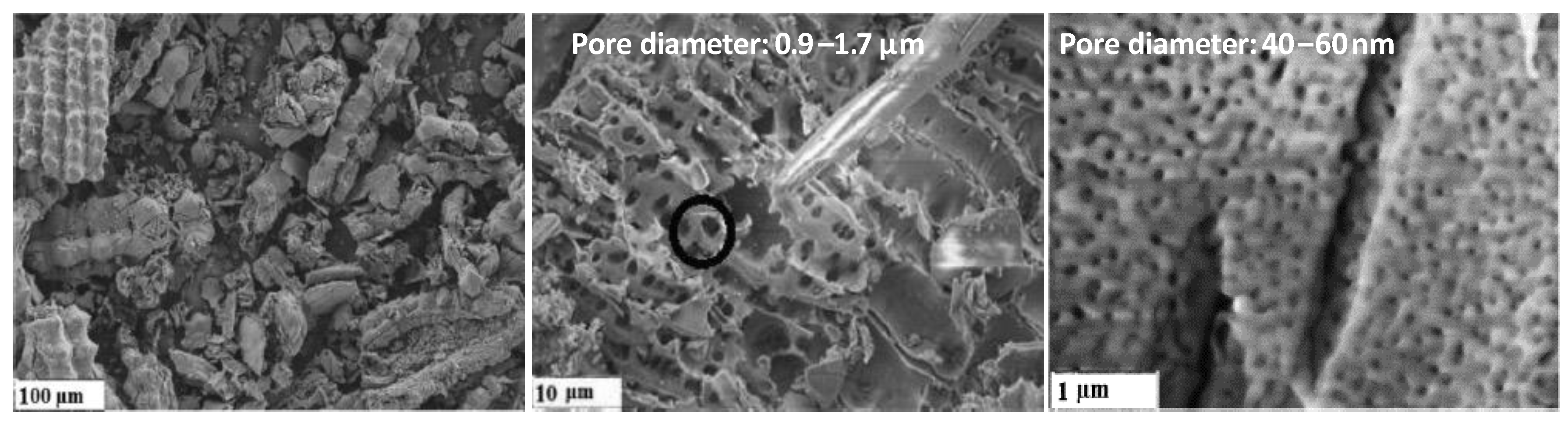 Processes 12 02420 g007