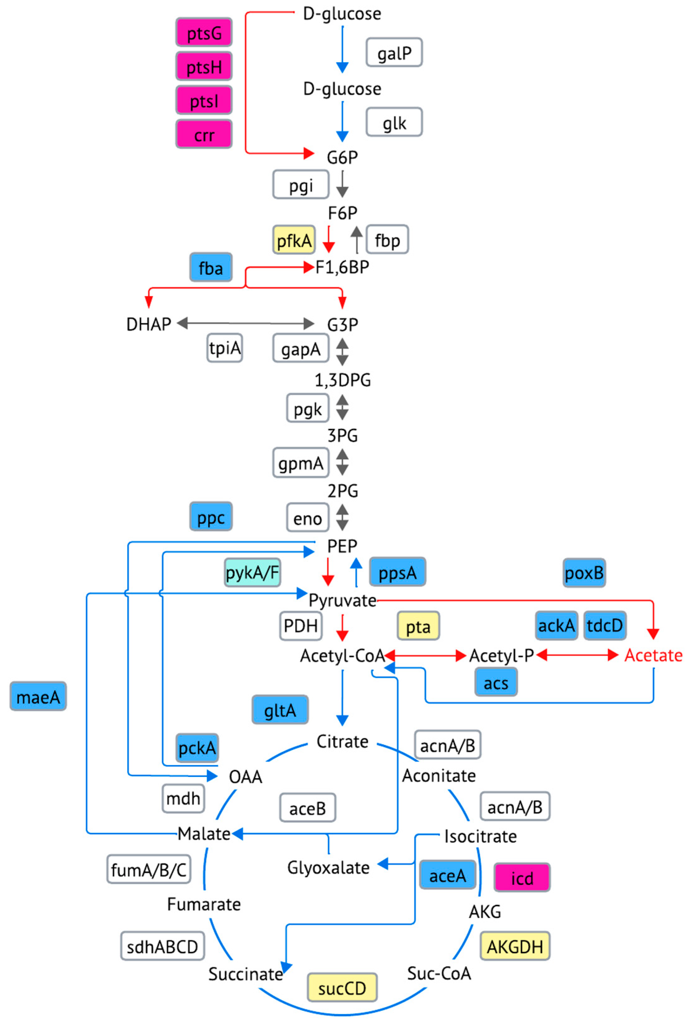Processes 12 02422 g005