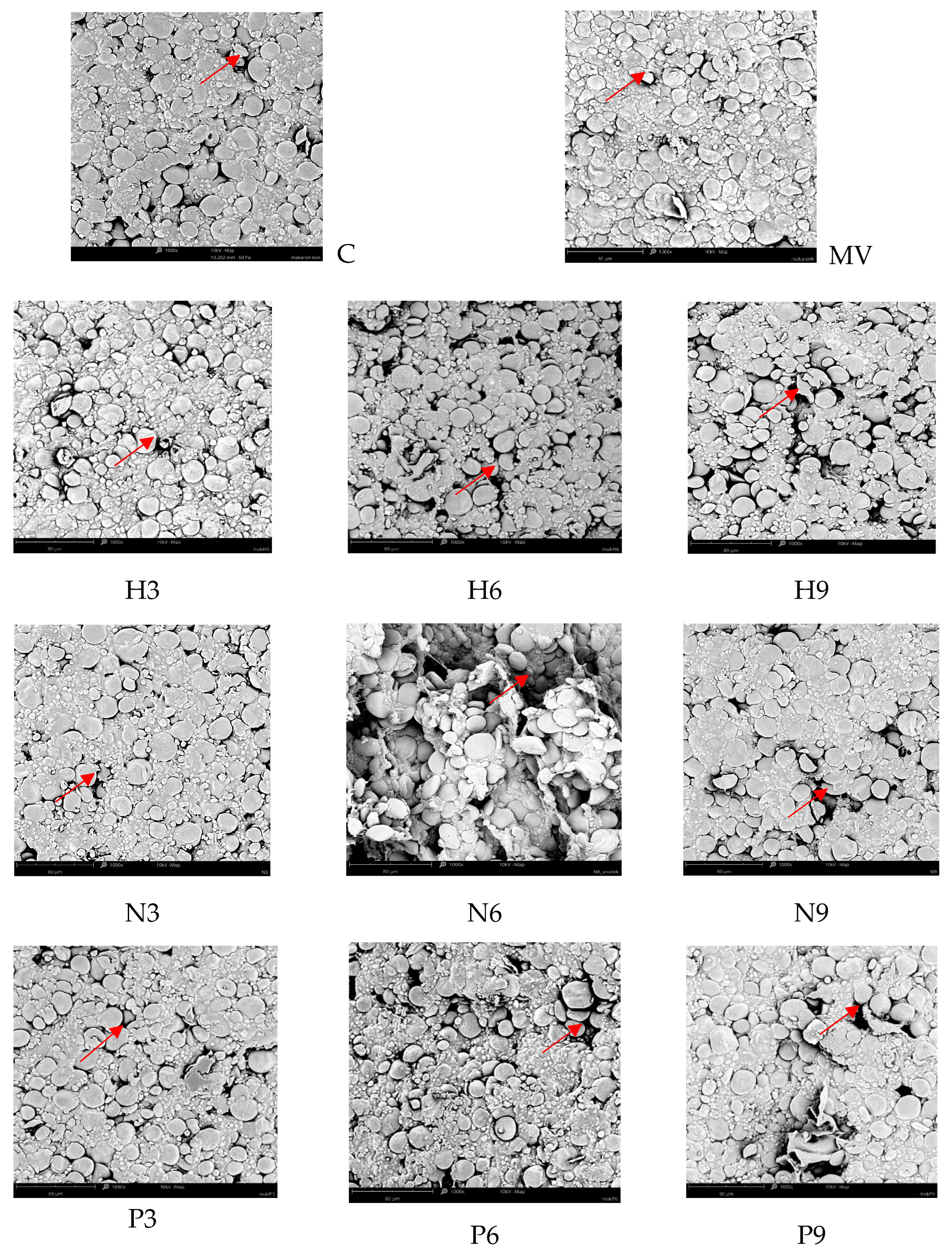 Processes 12 02508 g002