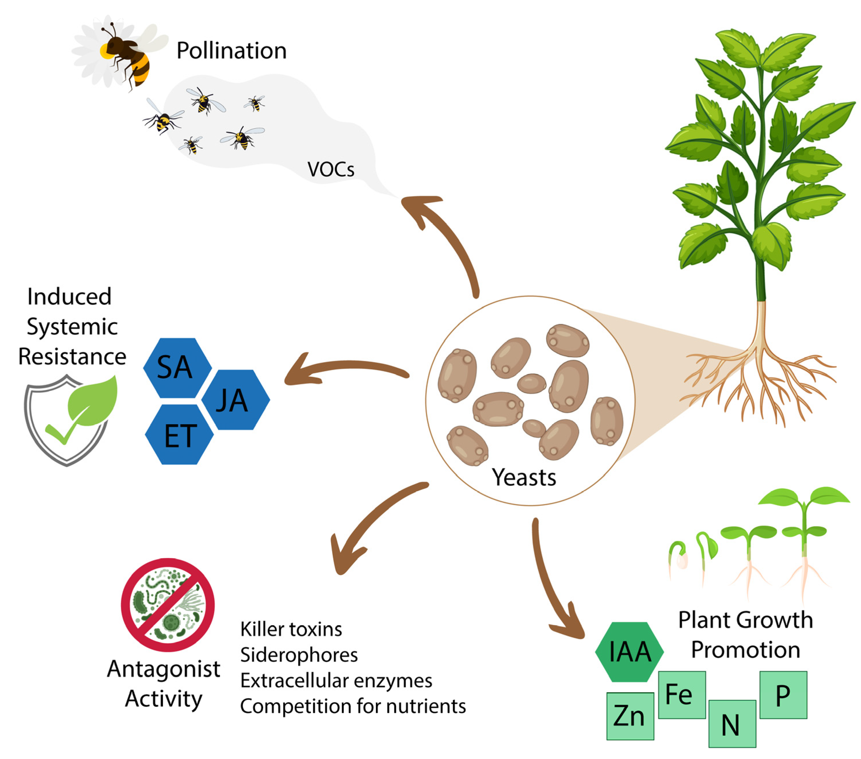 Processes 12 02555 g001