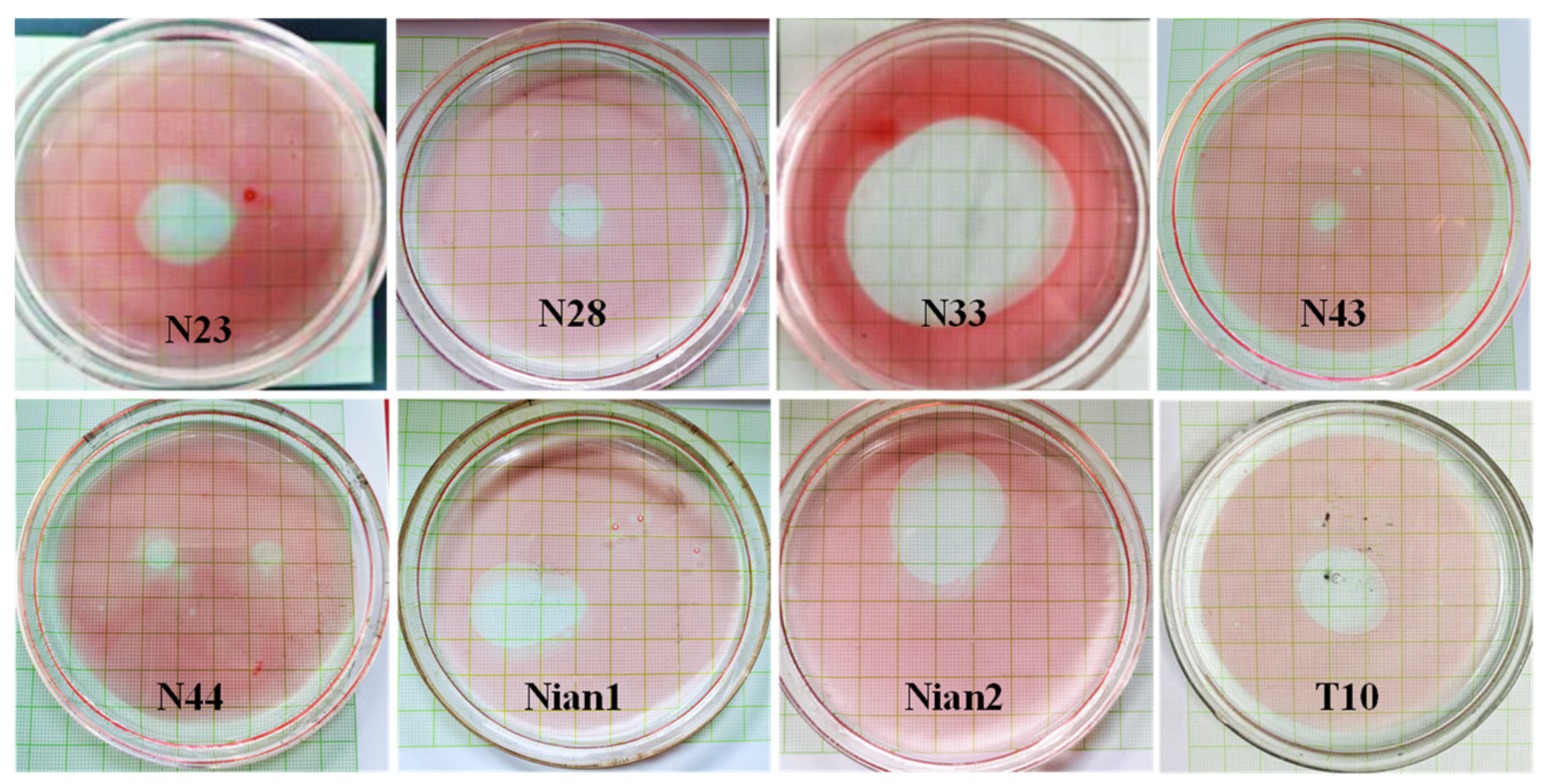 Processes 12 02575 g001