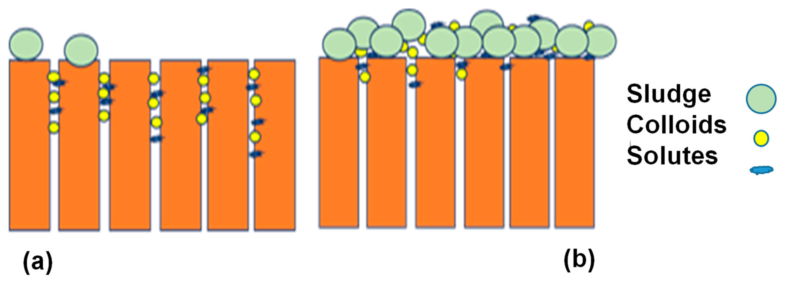 Processes 12 02681 g001