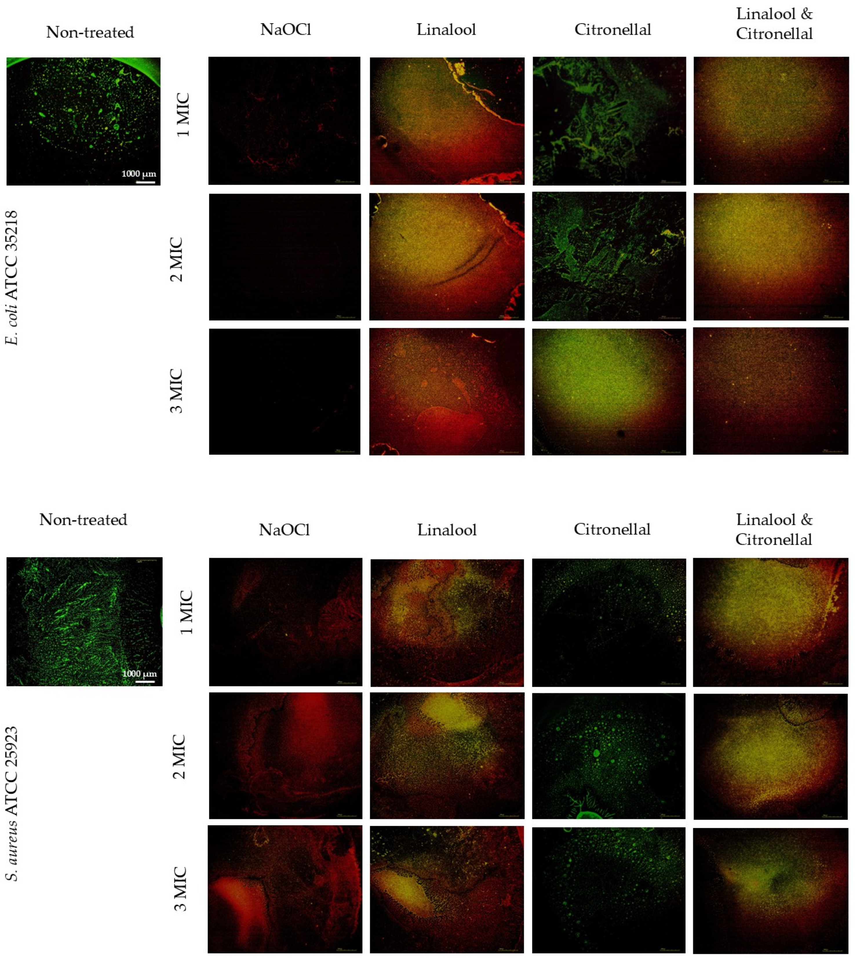 Processes 12 02743 g004