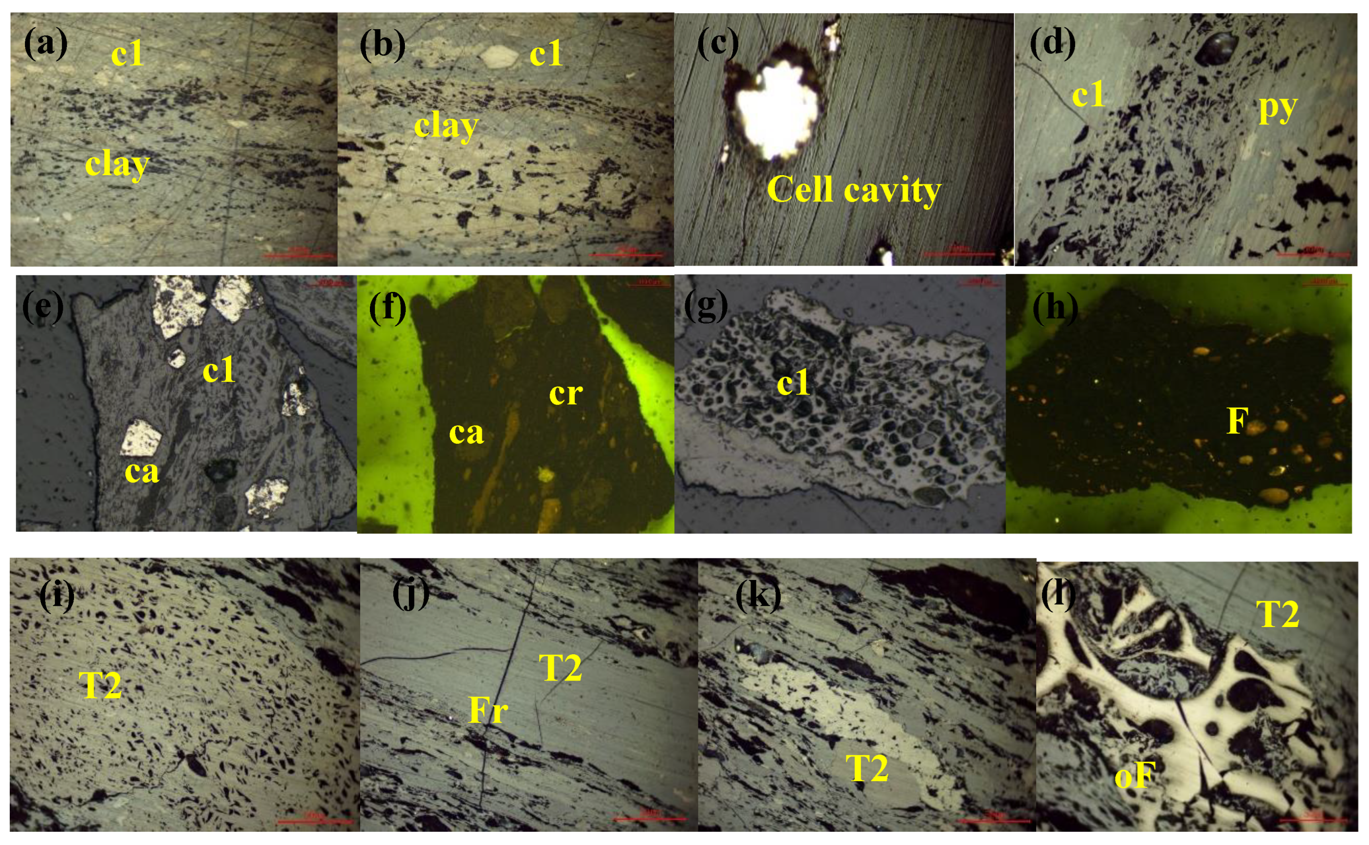 Processes 12 02780 g001
