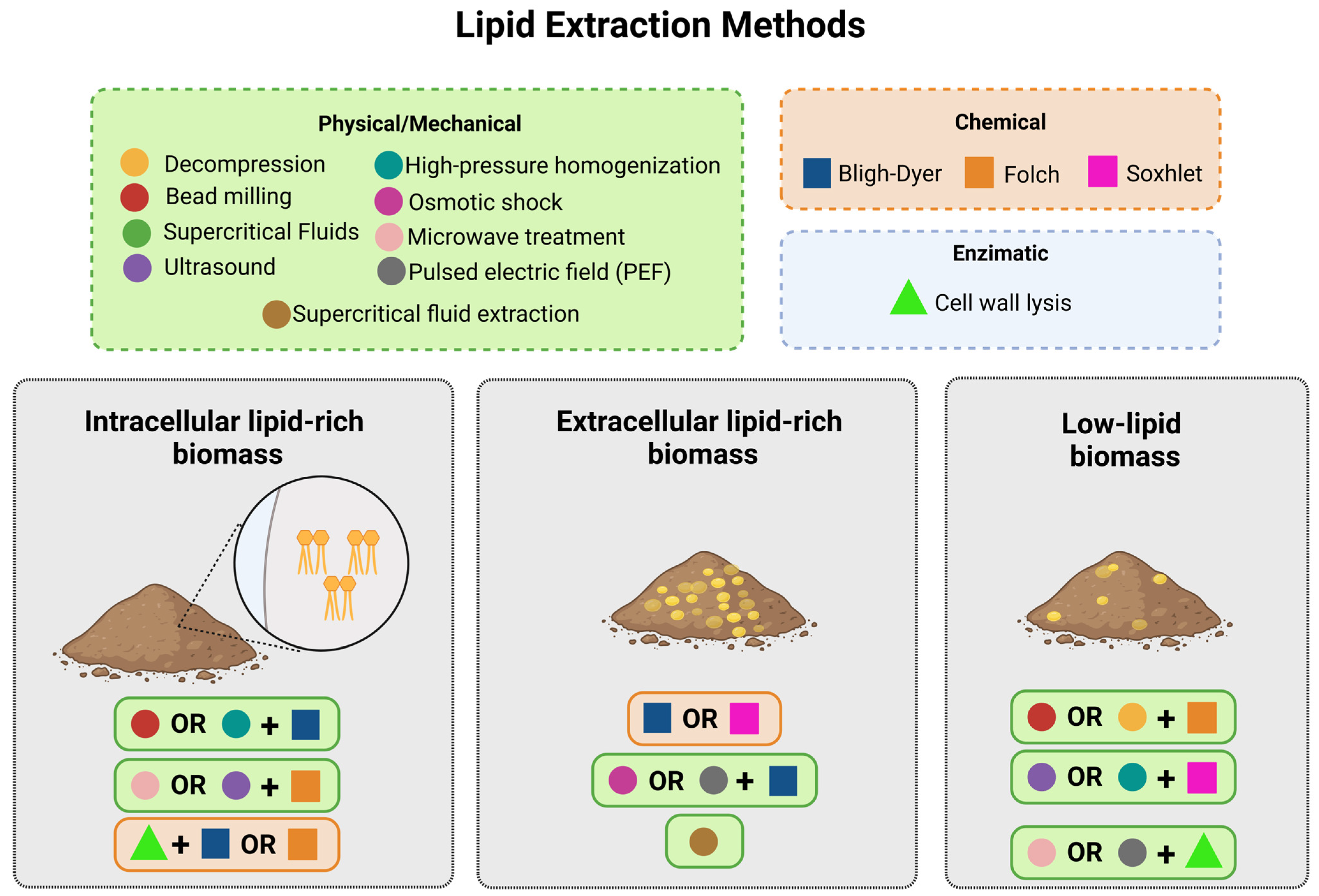 Processes 12 02903 g003